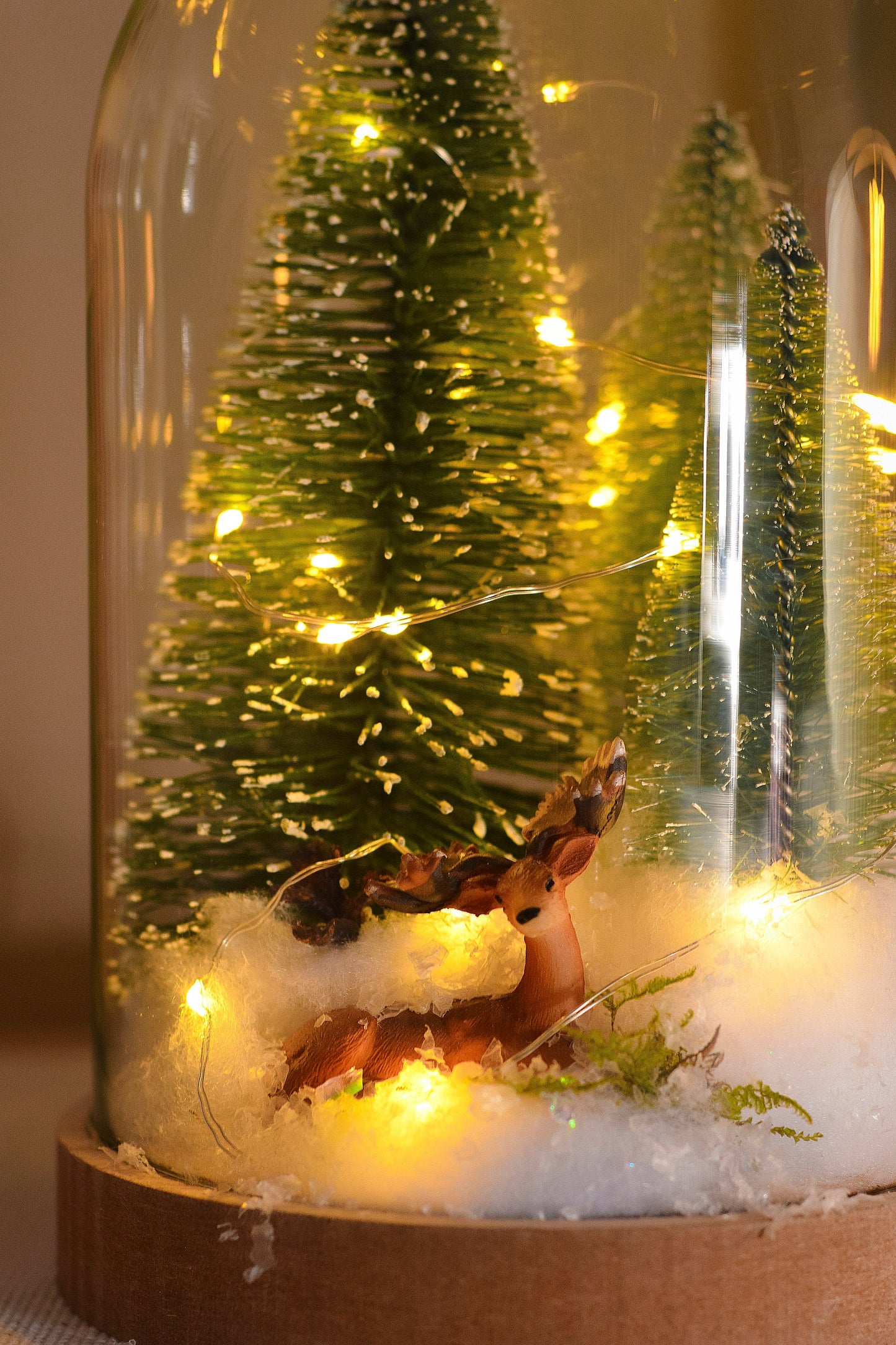 Christmas Terrarium Kit | Glass Dome with Fairy lights | Christmas Decorations RishStudio