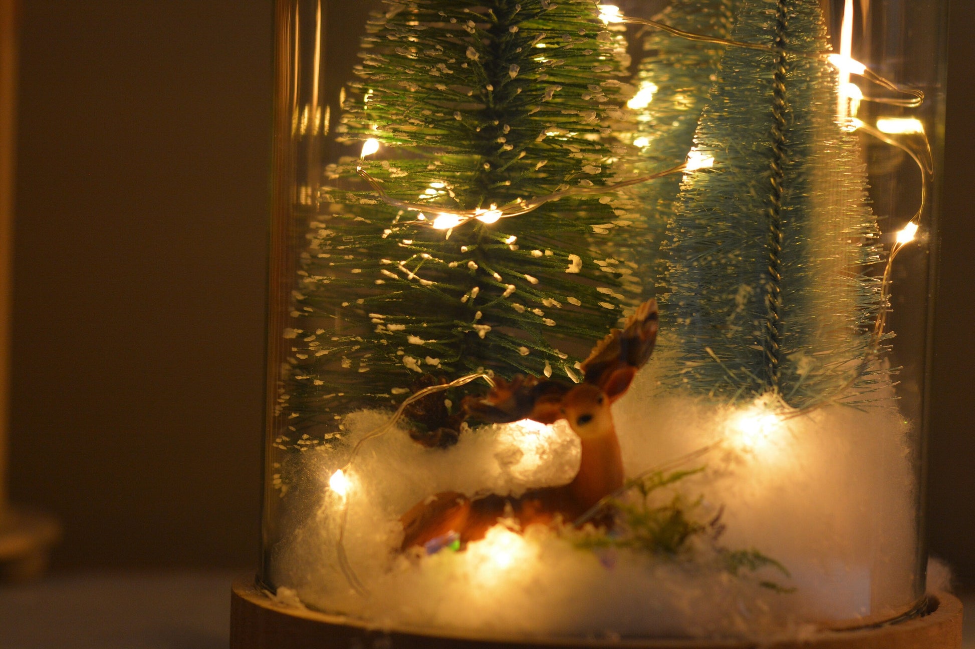 Christmas Terrarium Kit | Glass Dome with Fairy lights | Christmas Decorations RishStudio