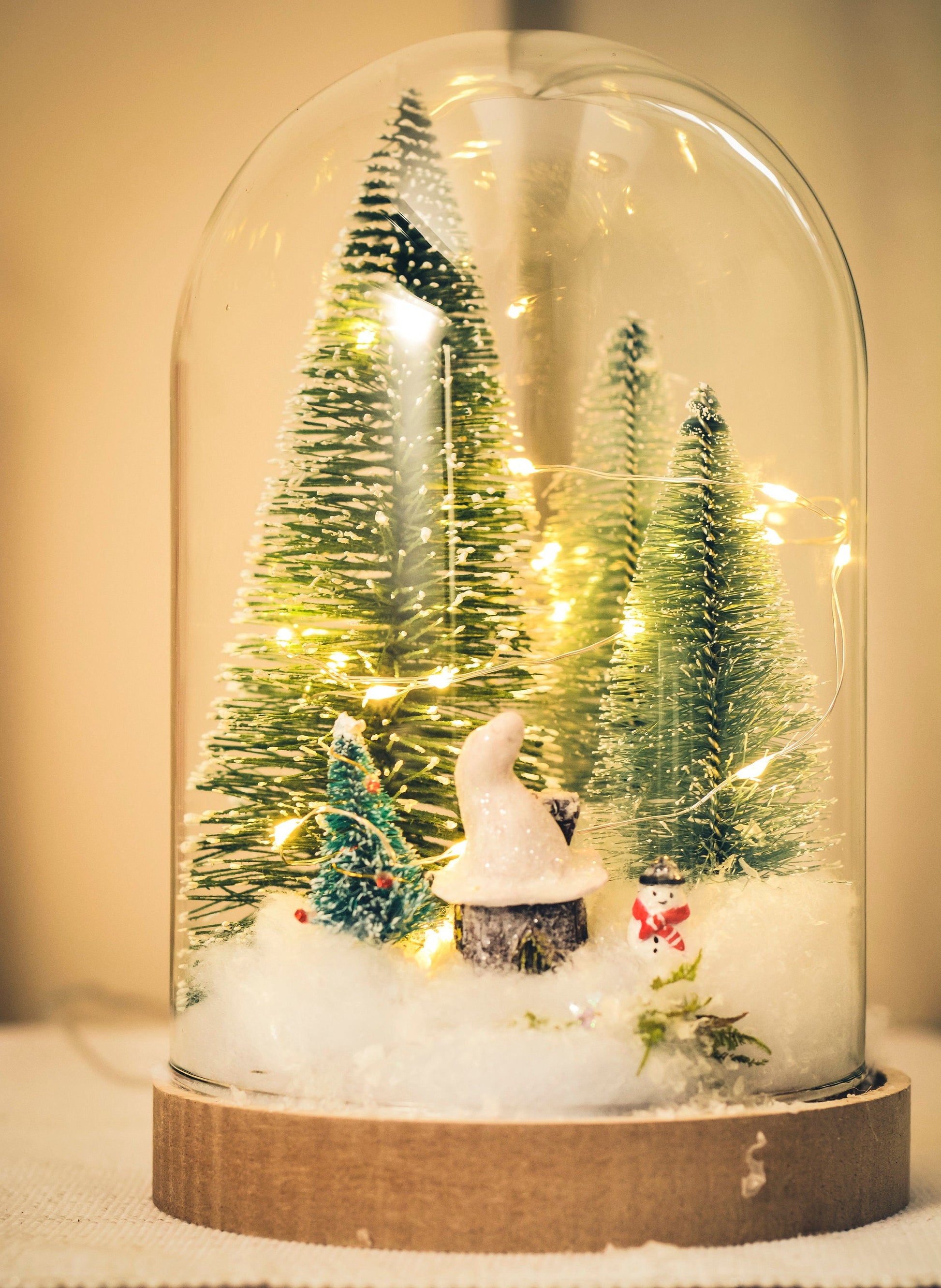 Christmas Terrarium Kit | Glass Dome with Fairy lights | Christmas Decorations RishStudio