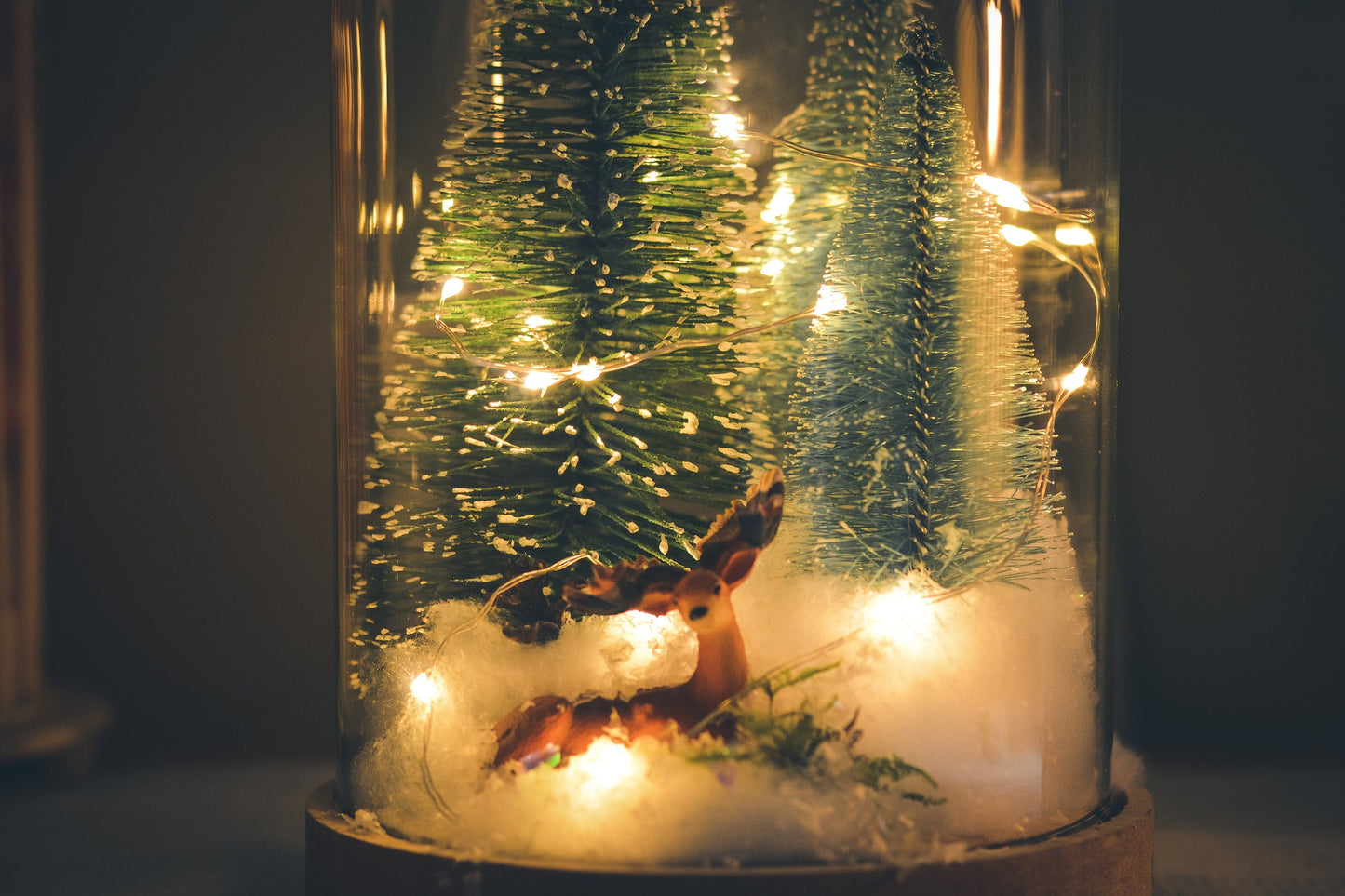 Christmas Terrarium Kit | Glass Dome with Fairy lights | Christmas Decorations RishStudio