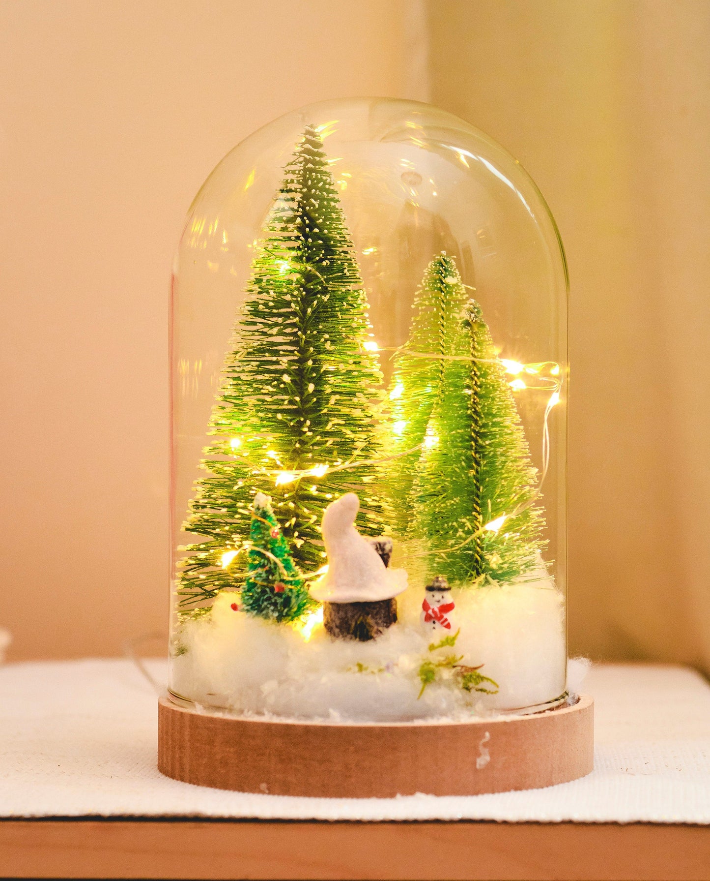 Christmas Terrarium Kit | Glass Dome with Fairy lights | Christmas Decorations RishStudio
