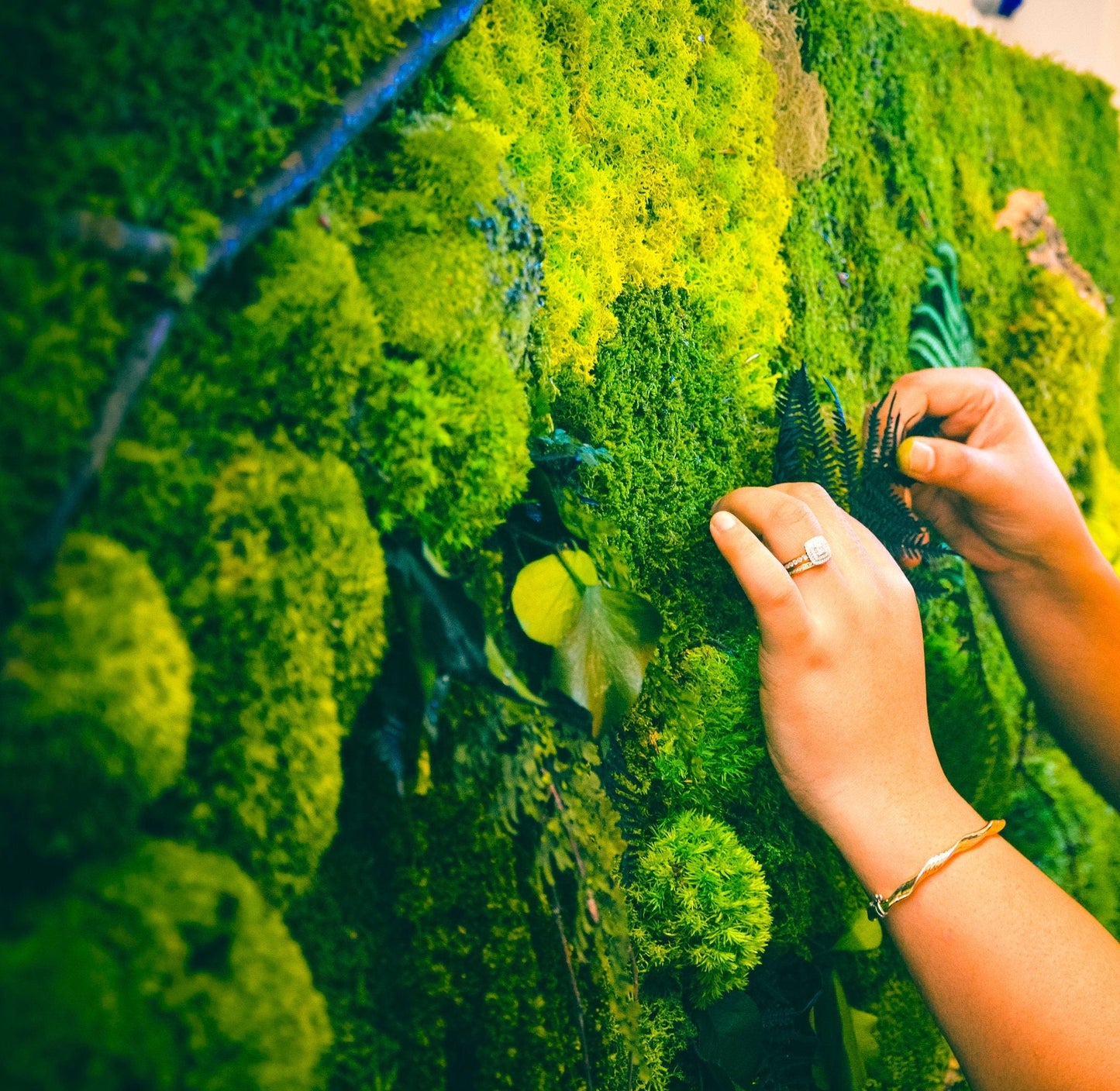 Moss Wall Art Set of Two Panels | Large Moss art RishStudio