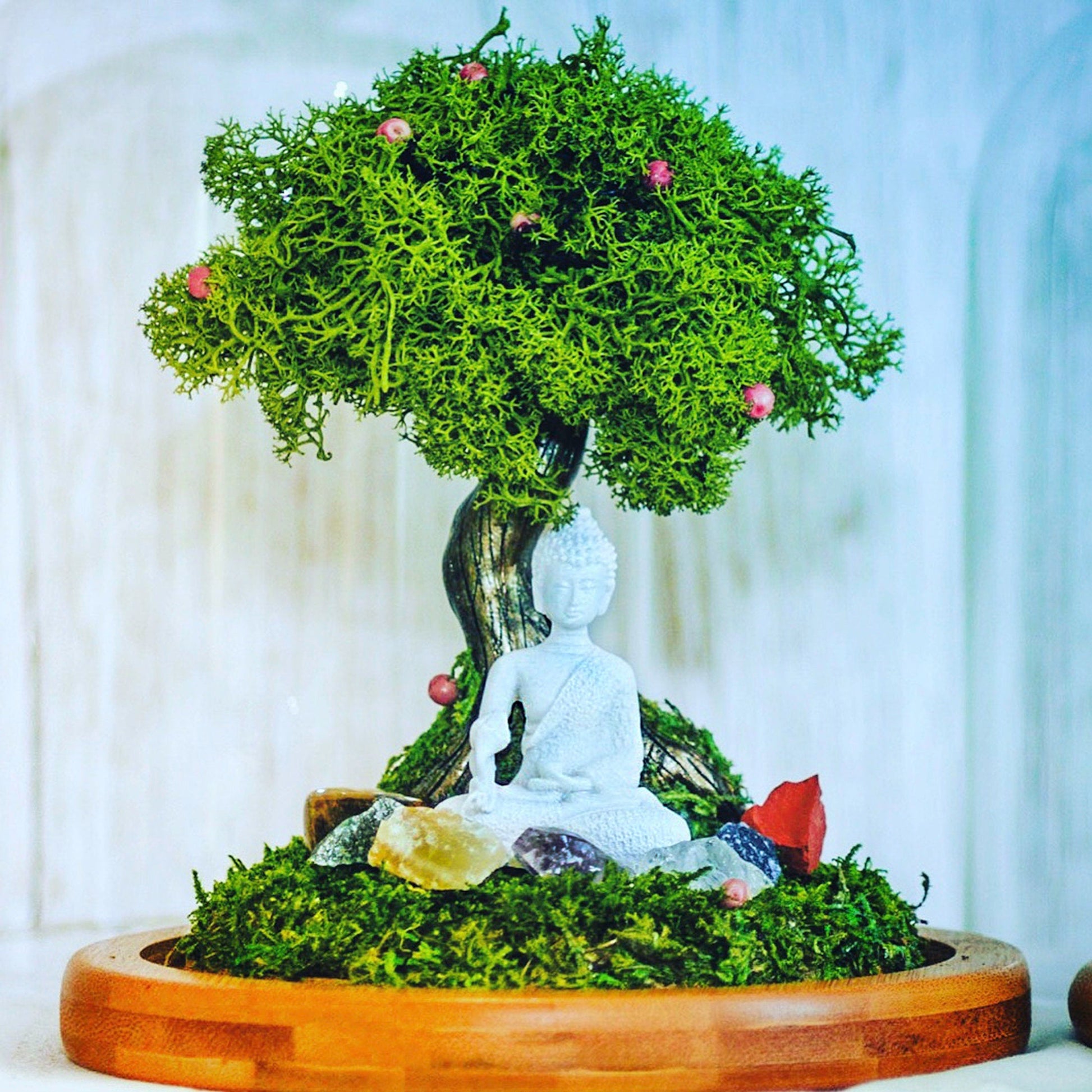 Buddha Terrarium | Round Glass Terrarium with Chakra Stones – Perfect Yoga Teacher Gift mossartbyrishstudio