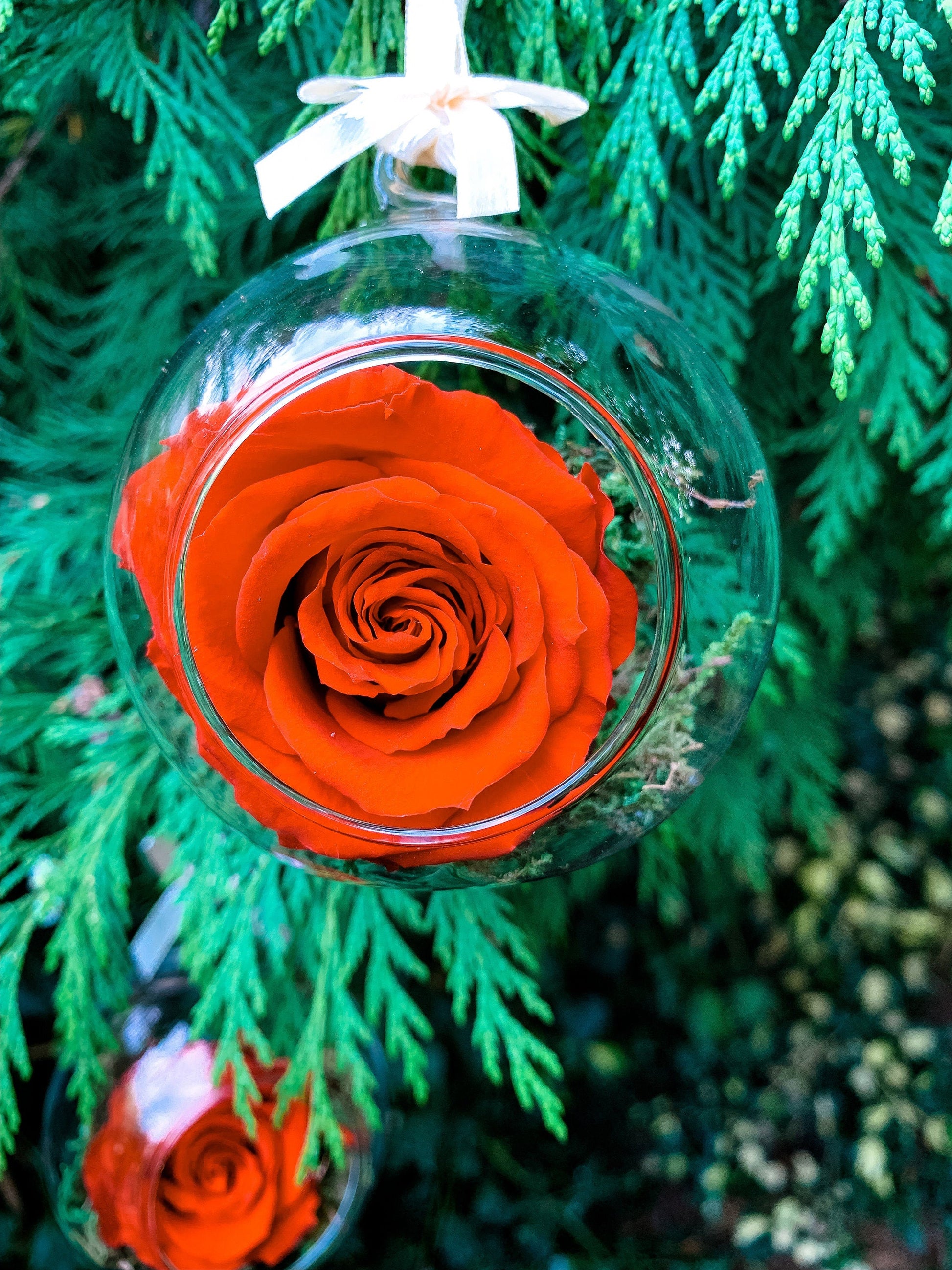 Christmas Baubles | Floral Christmas decorations | Filled Christmas Baubles RishStudio