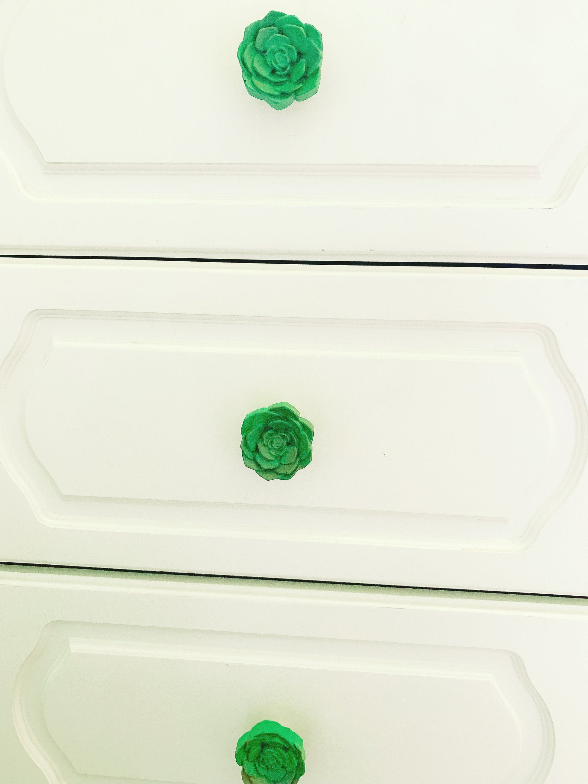 Succulent knobs and pulls | Cacti & Succulent Drawer Pulls RishStudio
