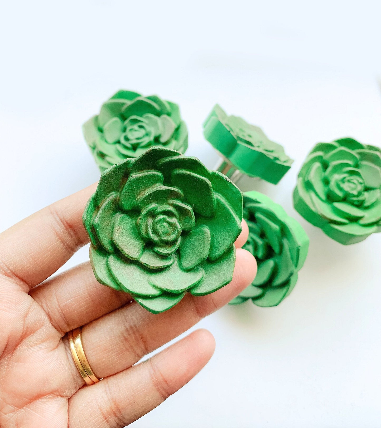 Succulent knobs and pulls | Cacti & Succulent Drawer Pulls RishStudio
