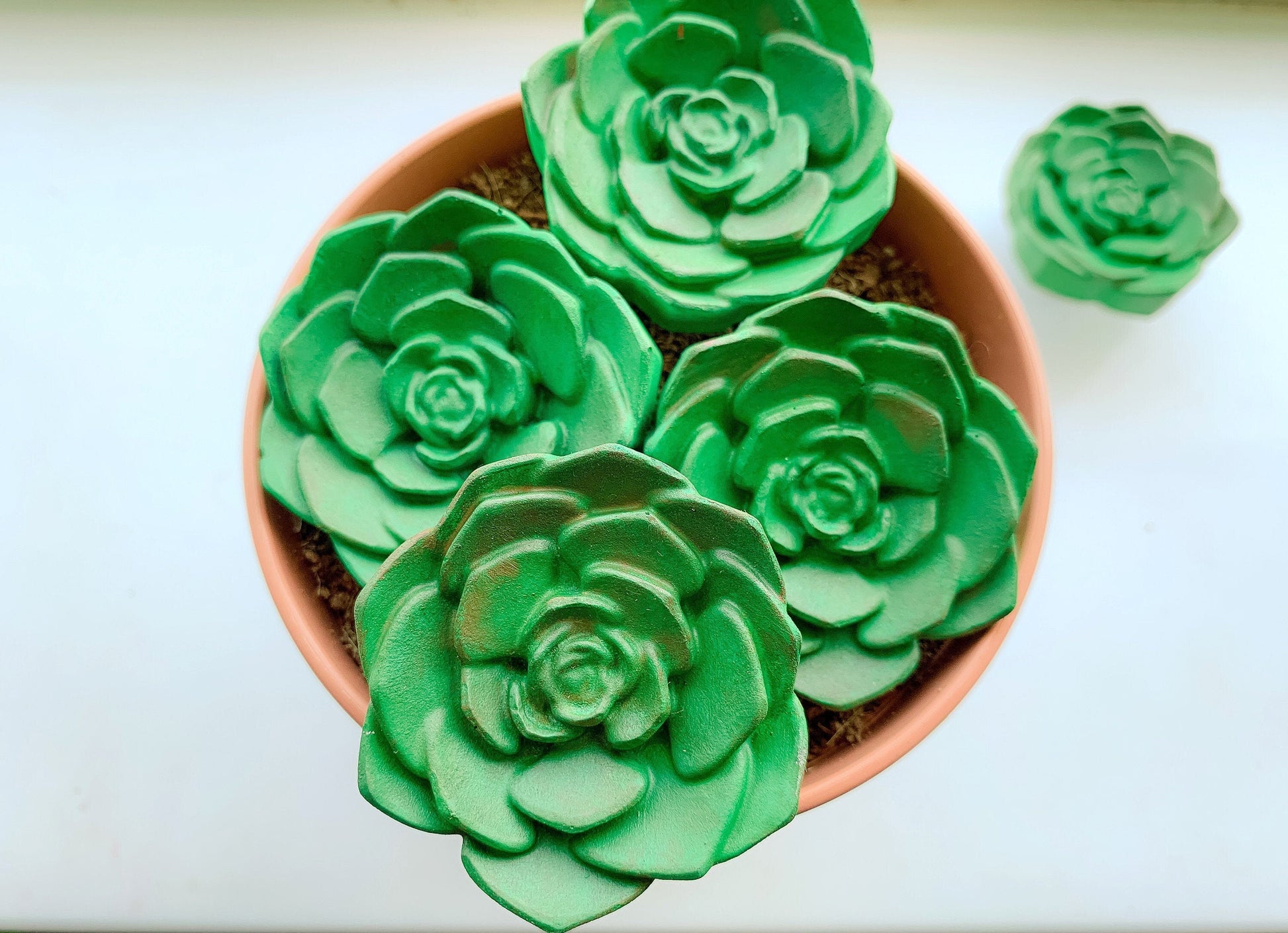 succulent drawer pulls Succulent knobs and drawer pull