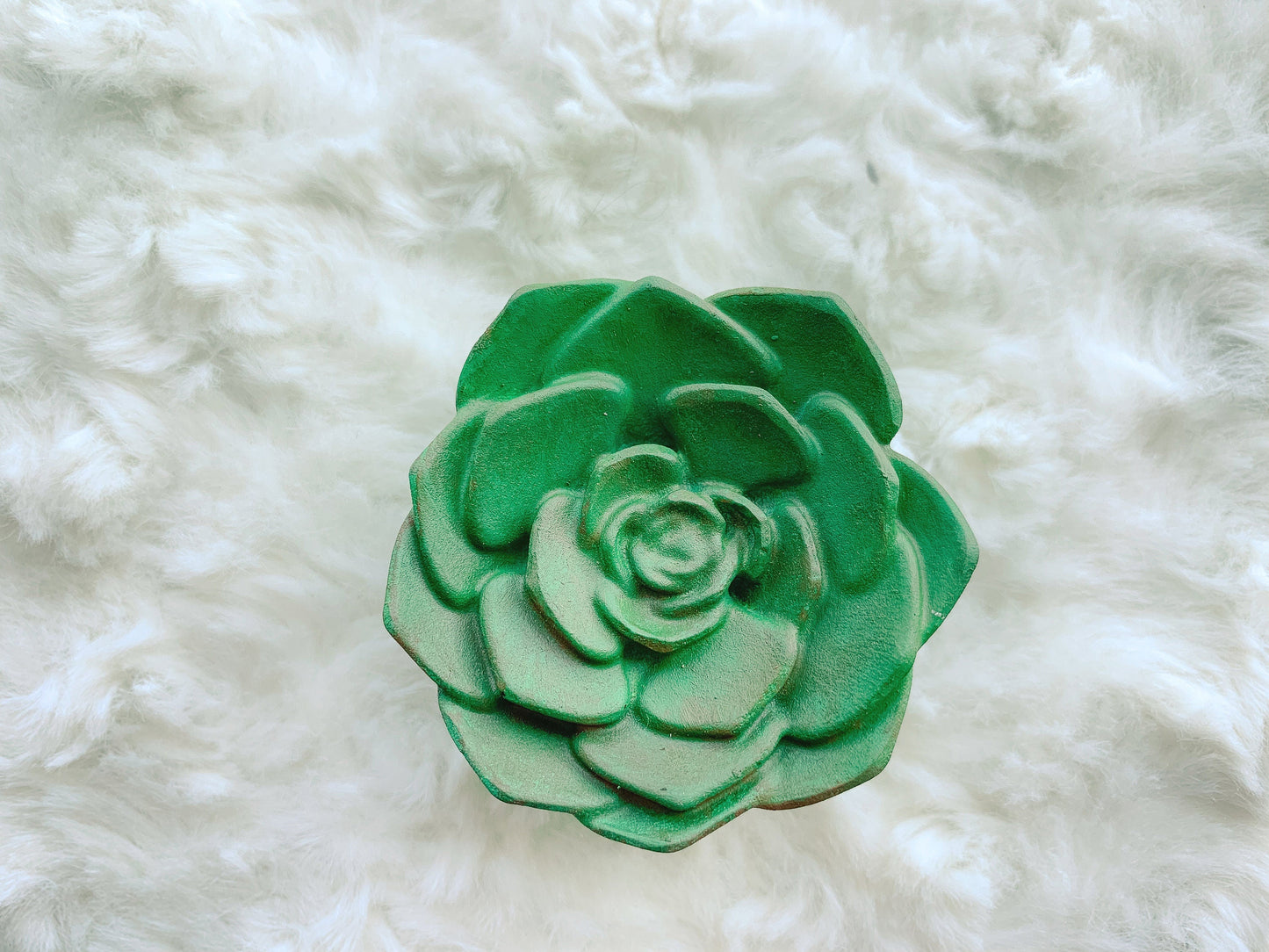 Succulent knobs and pulls | Cacti & Succulent Drawer Pulls RishStudio