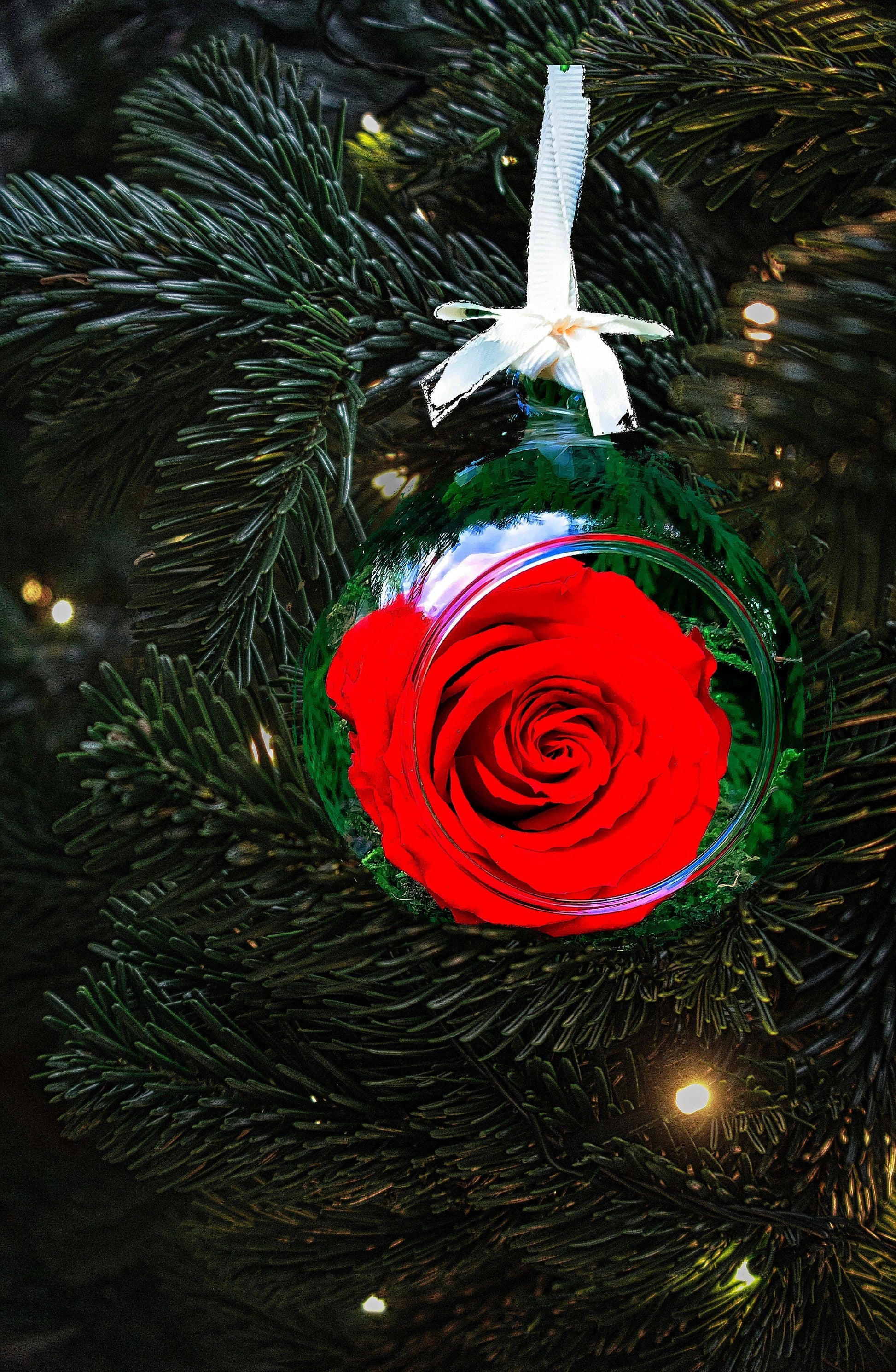 Christmas Baubles | Floral Christmas decorations | Filled Christmas Baubles RishStudio