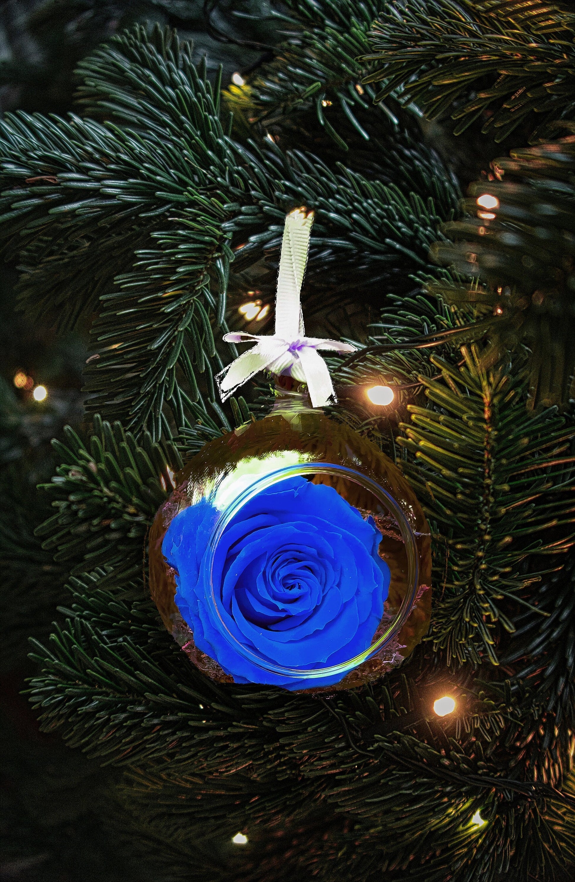 Christmas Baubles | Floral Christmas decorations | Filled Christmas Baubles RishStudio