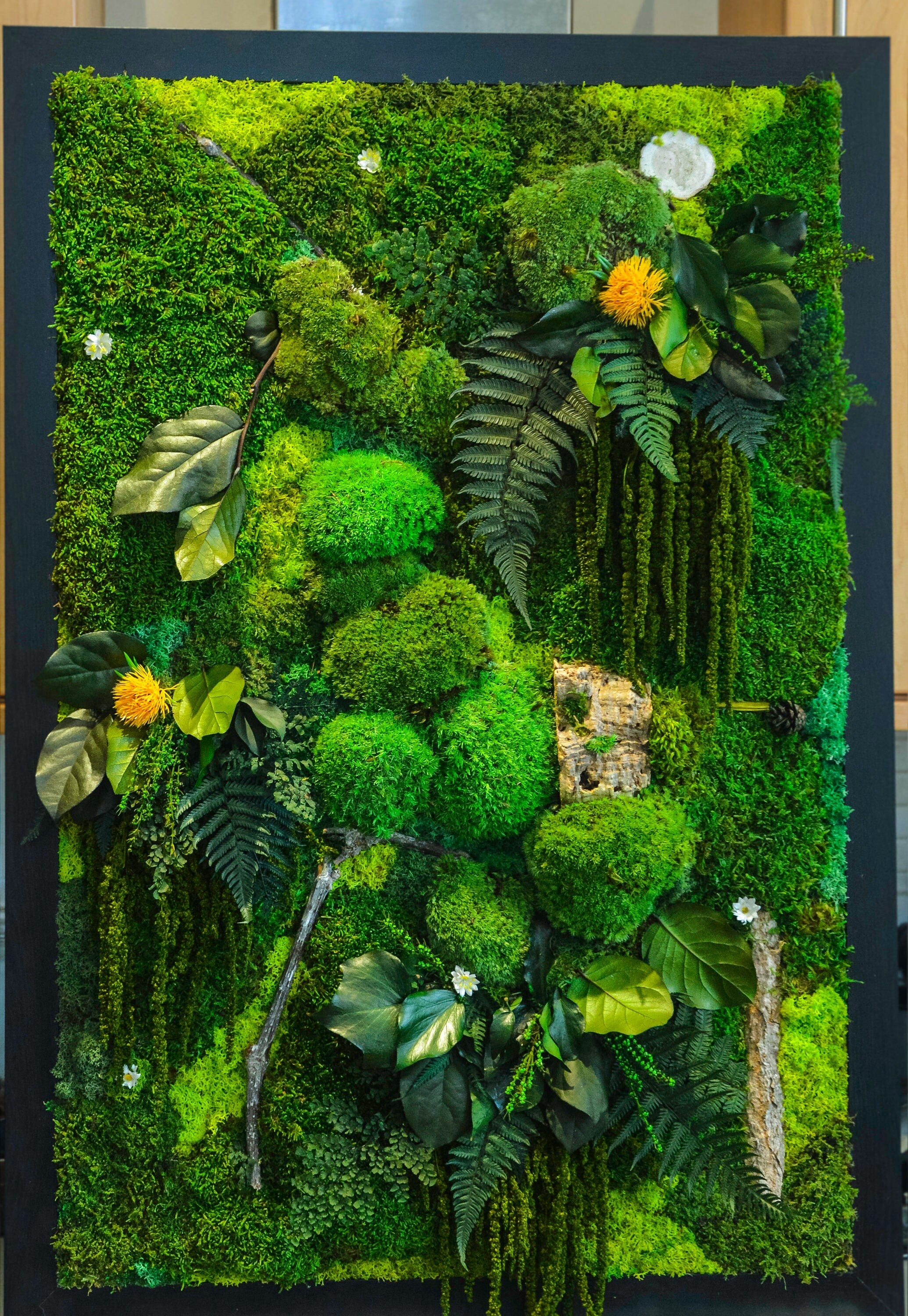 Handcrafted Moss Wall Art Set of 3 – Sustainable Biophilic Green