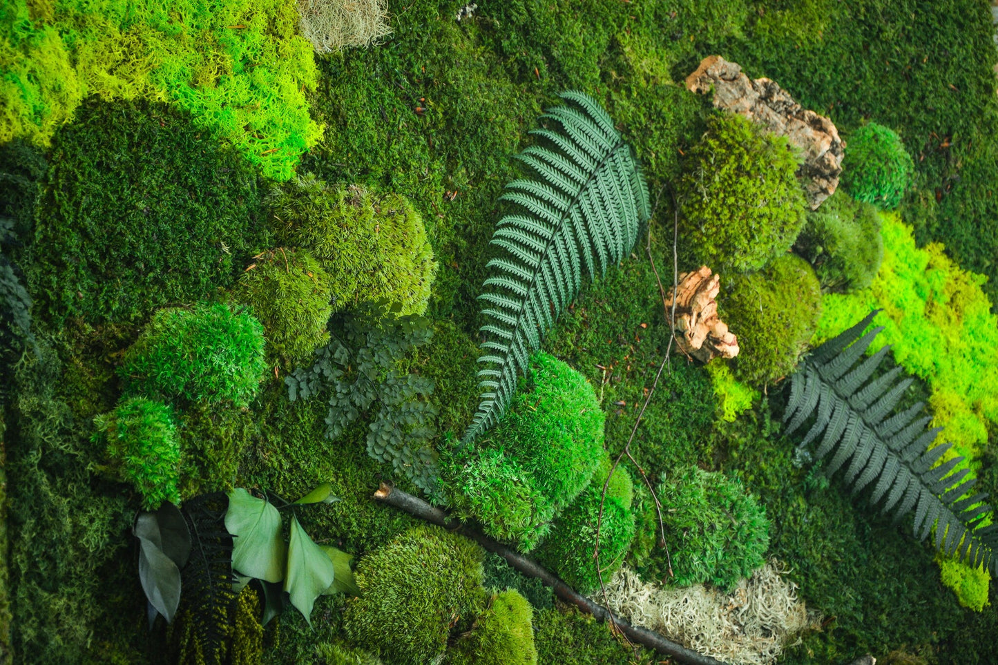 Set of 3 Moss wall art Frame |  Moss wall | Moss wall art 91 x 61 CM RishStudio