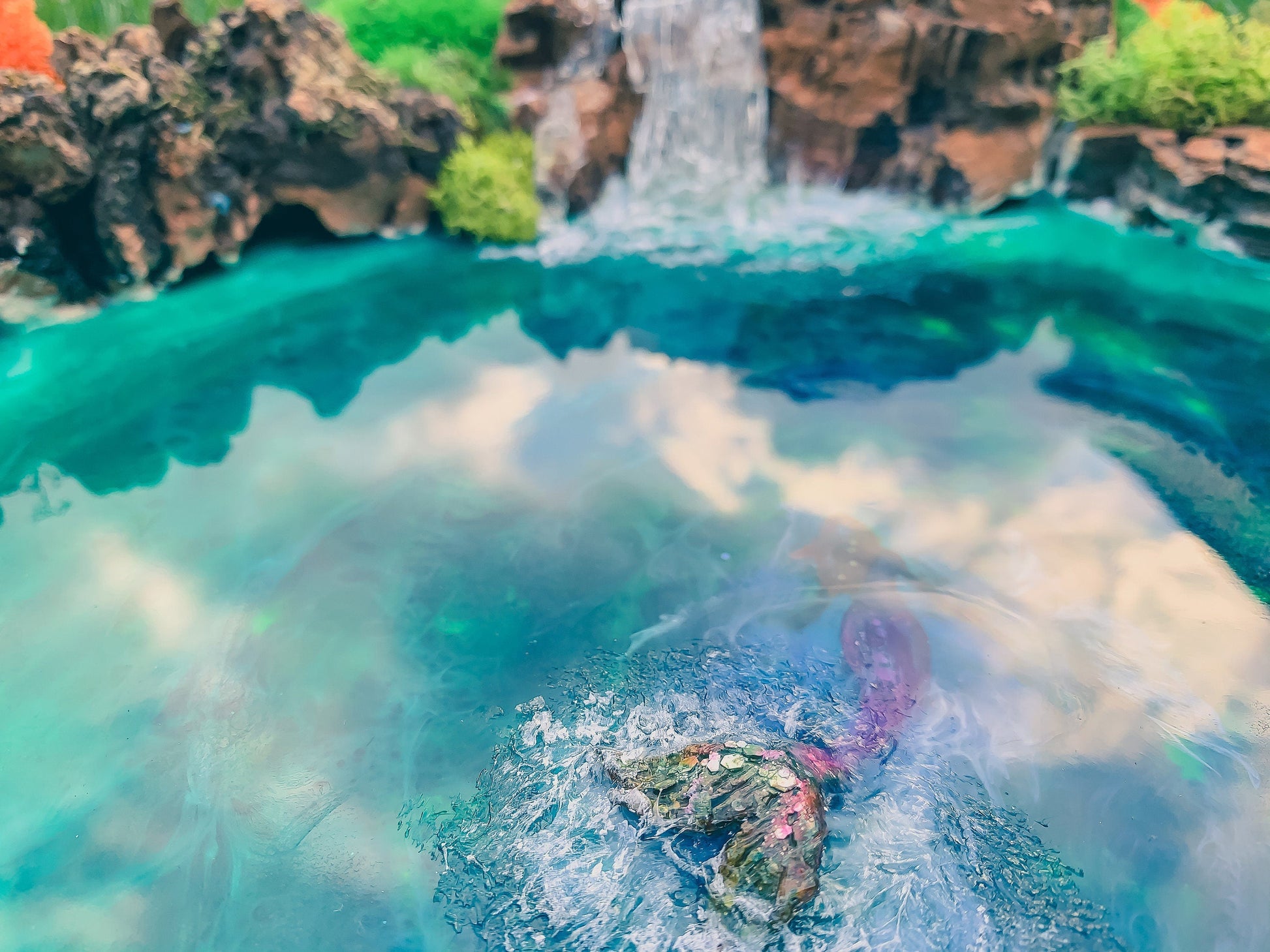 Moss Art | Ocean Wall Art | Moss Wall | Preserved Moss art mossartbyrishstudio