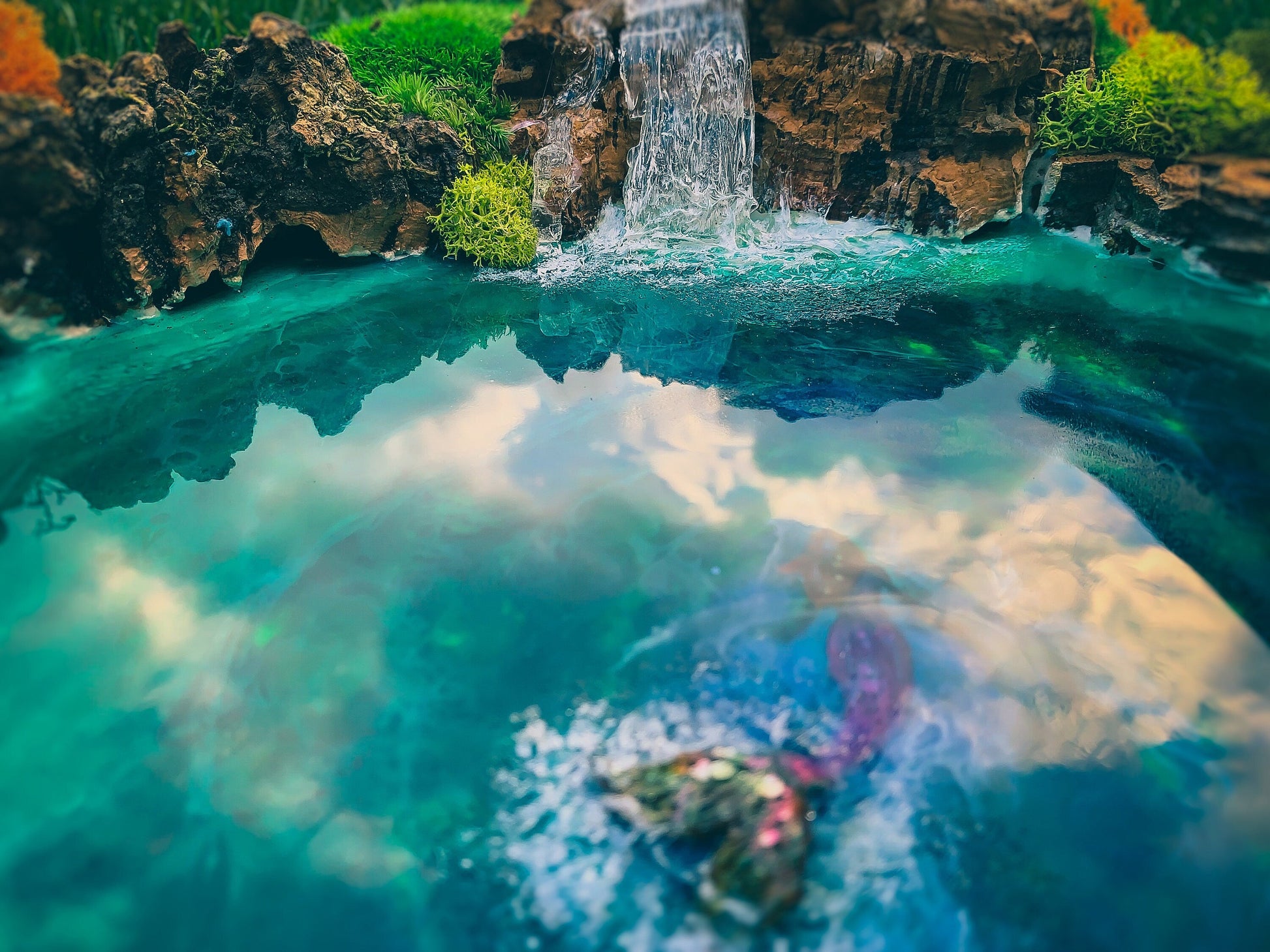 Moss Art | Ocean Wall Art | Moss Wall | Preserved Moss art mossartbyrishstudio