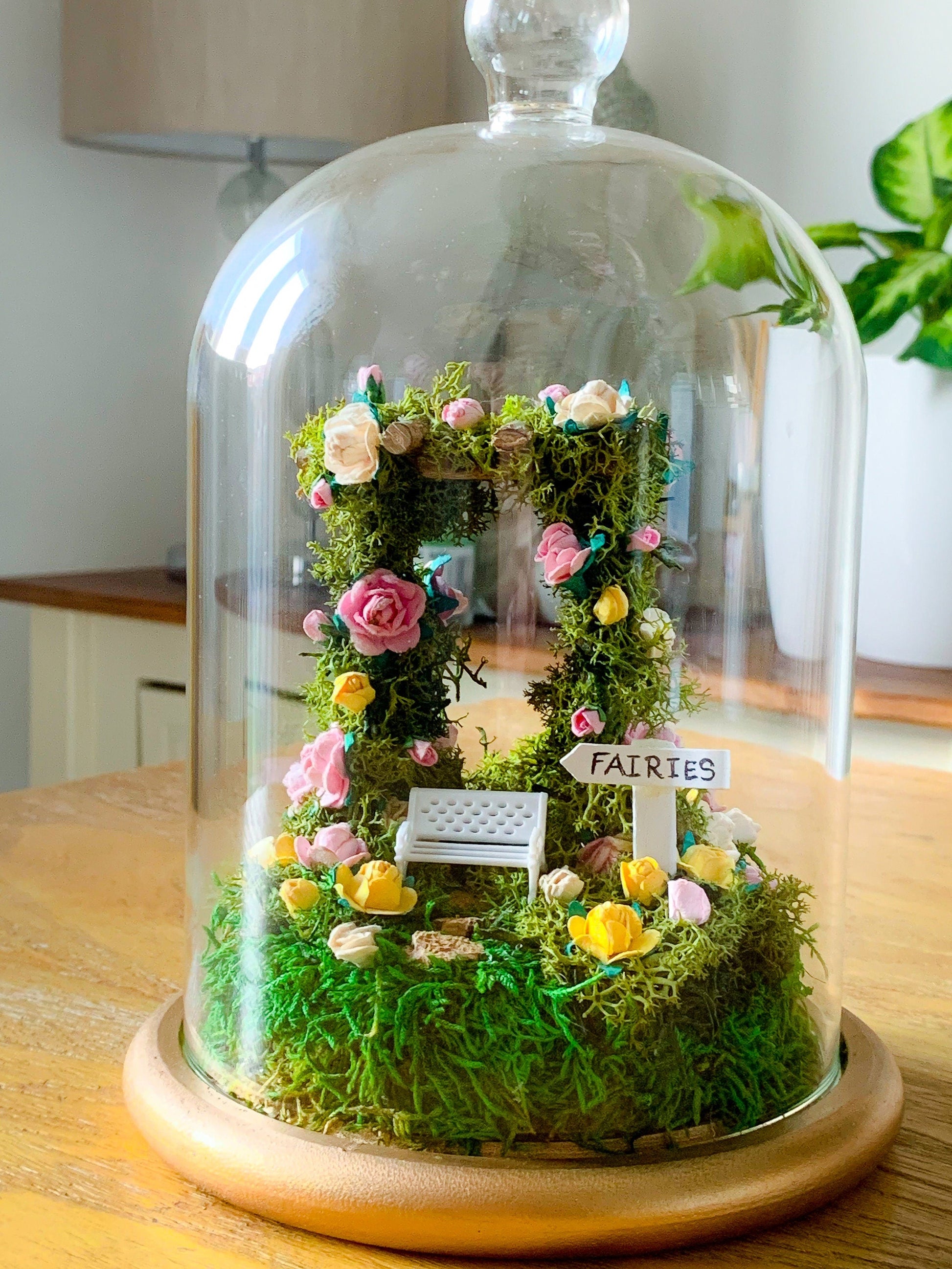 Fairy Garden | Fairy Accessories | No Maintenance Terrarium Kit mossartbyrishstudio