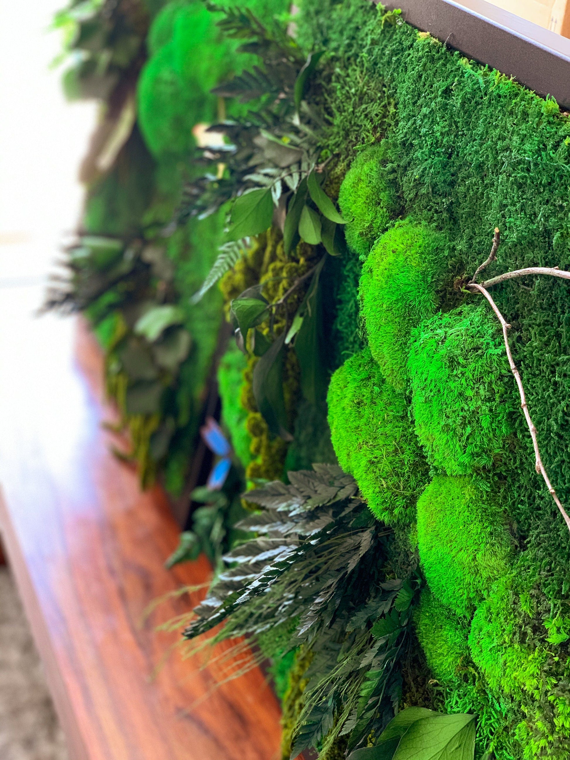 Moss Wall Art | Moss Wall Art set of two 50 x 50 CM RishStudio