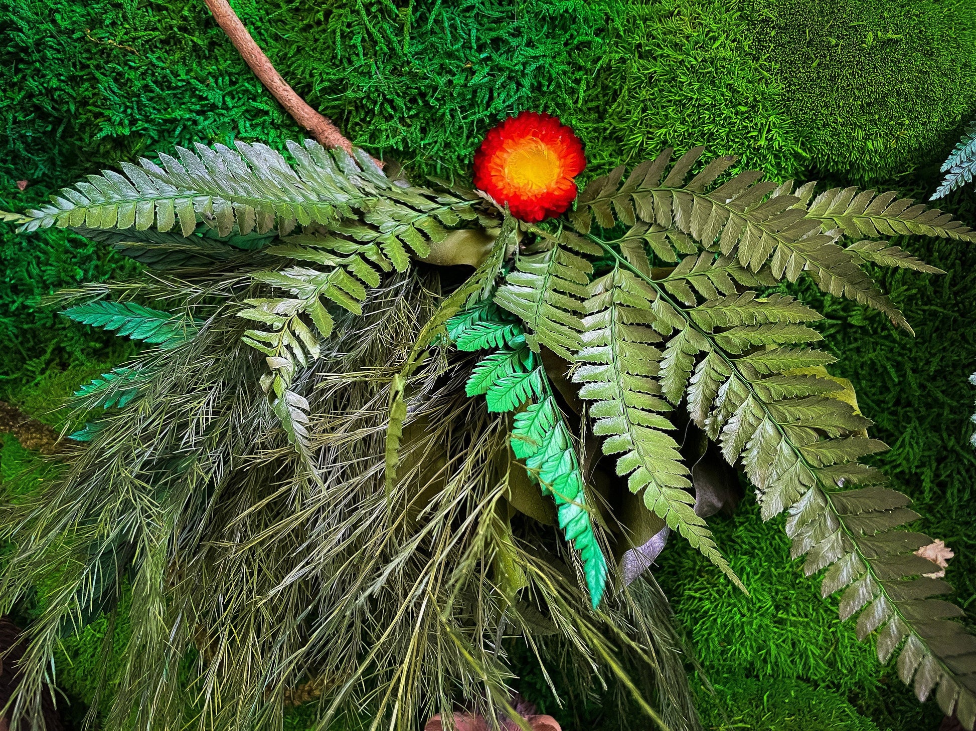 Moss Wall Art | Hedgehog Ornament | Hedgehog House mossartbyrishstudio