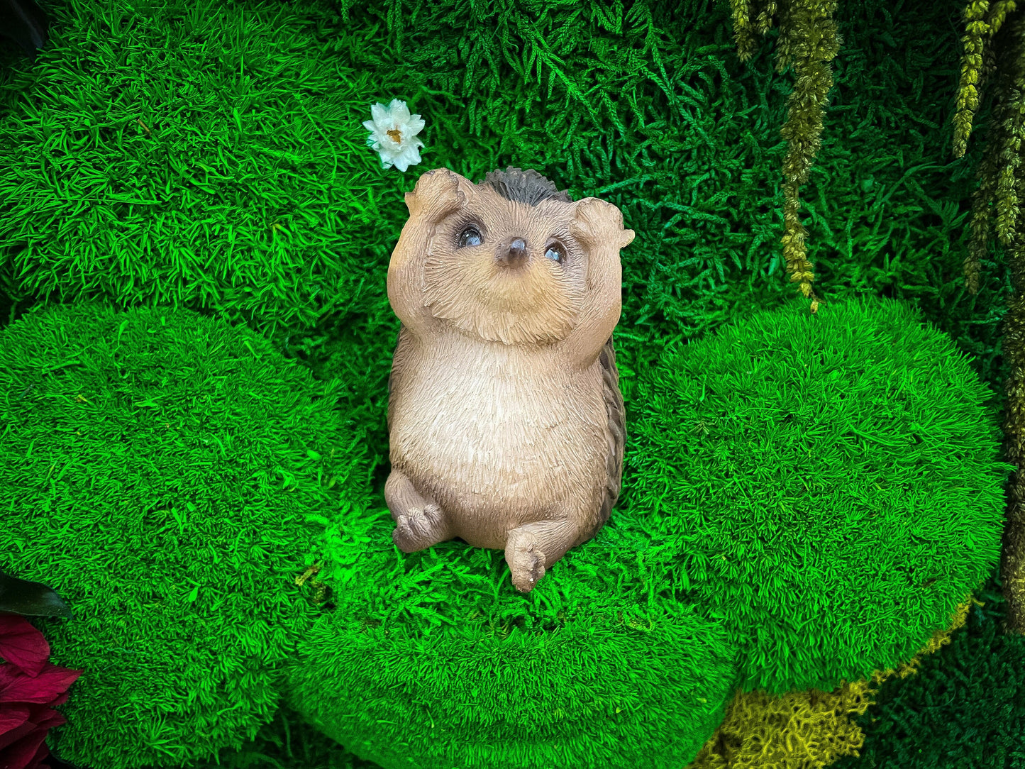 Moss Wall Art | Hedgehog Ornament | Hedgehog House mossartbyrishstudio