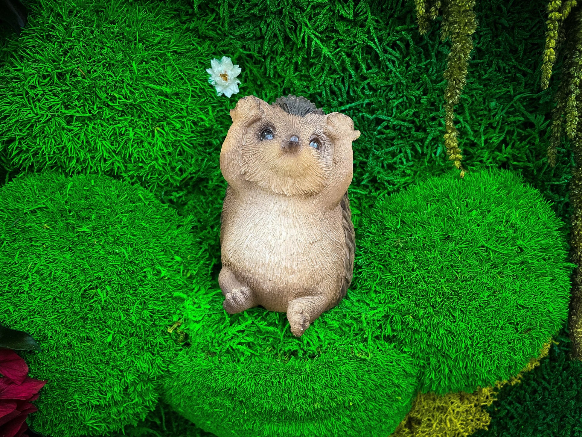 Moss Wall Art | Hedgehog Ornament | Hedgehog House mossartbyrishstudio