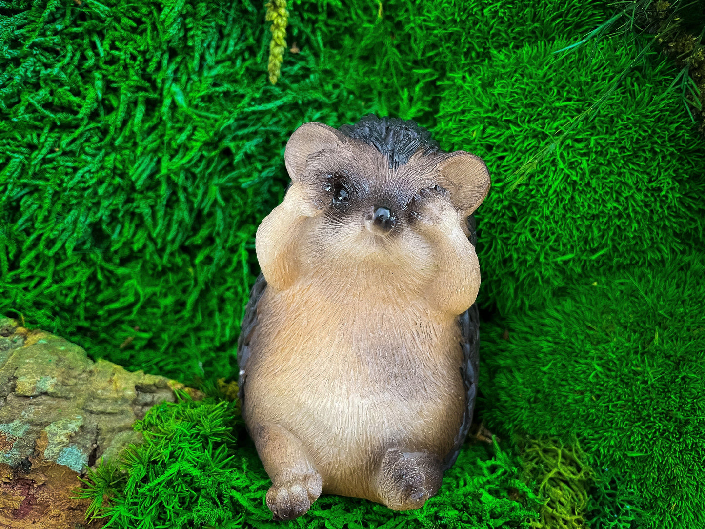 Moss Wall Art | Hedgehog Ornament | Hedgehog House mossartbyrishstudio