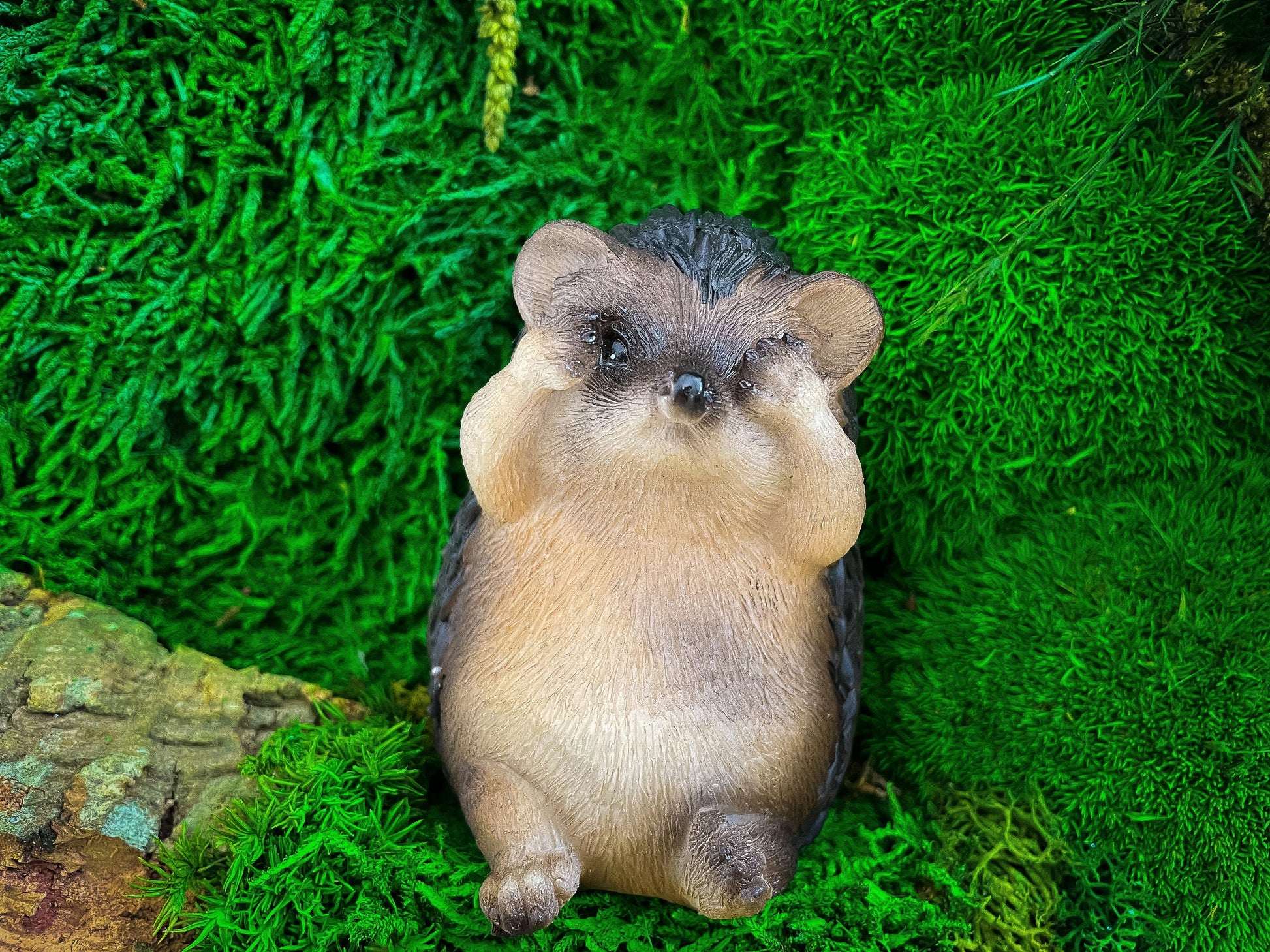 Moss Wall Art | Hedgehog Ornament | Hedgehog House mossartbyrishstudio