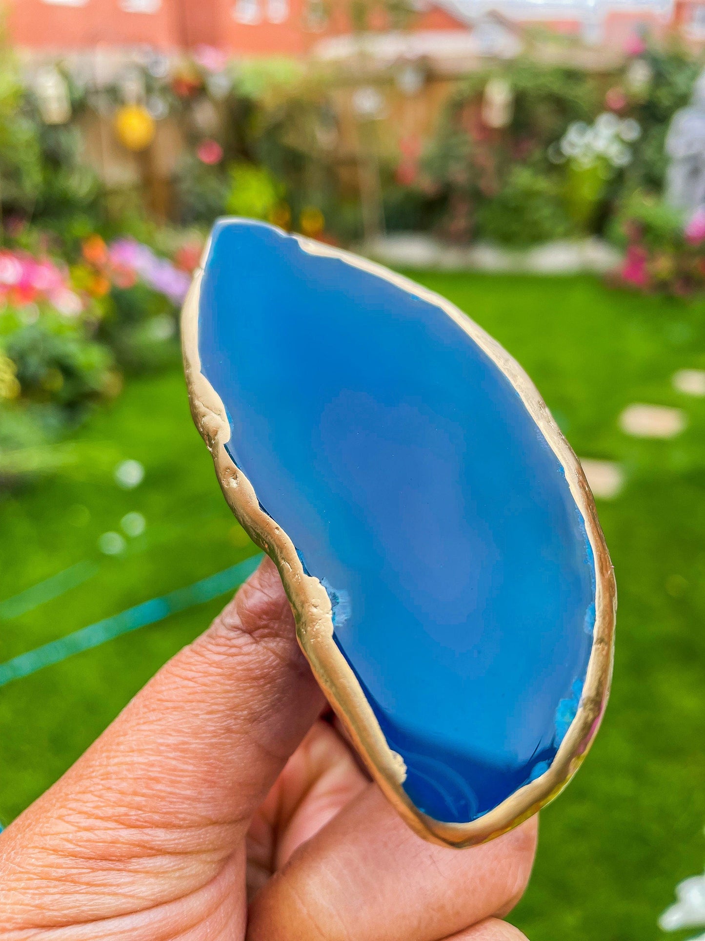 Brass Cabinet Closet Drawer Knobs Set of 6 mossartbyrishstudio