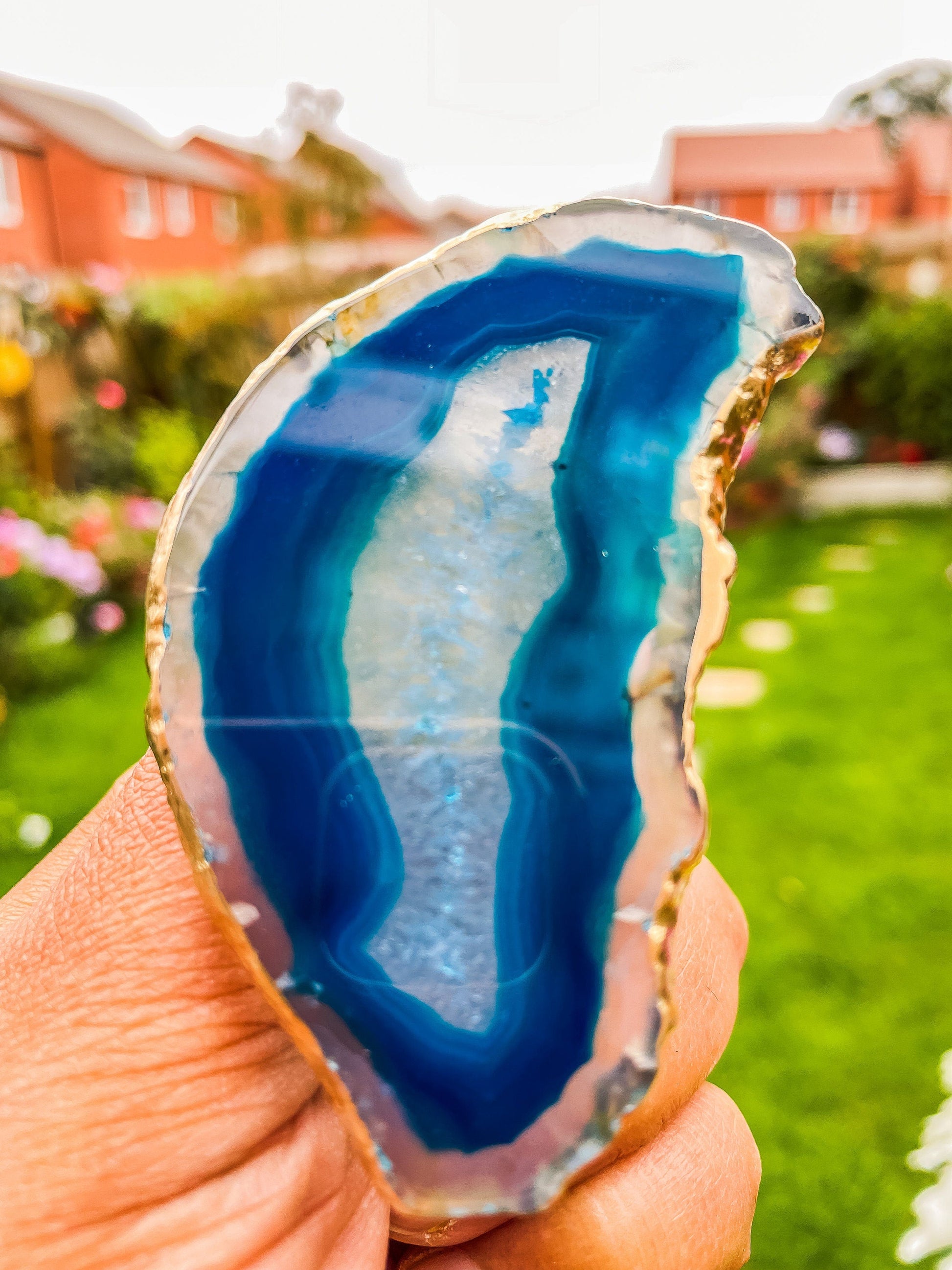 Brass Cabinet Closet Drawer Knobs Set of 6 mossartbyrishstudio