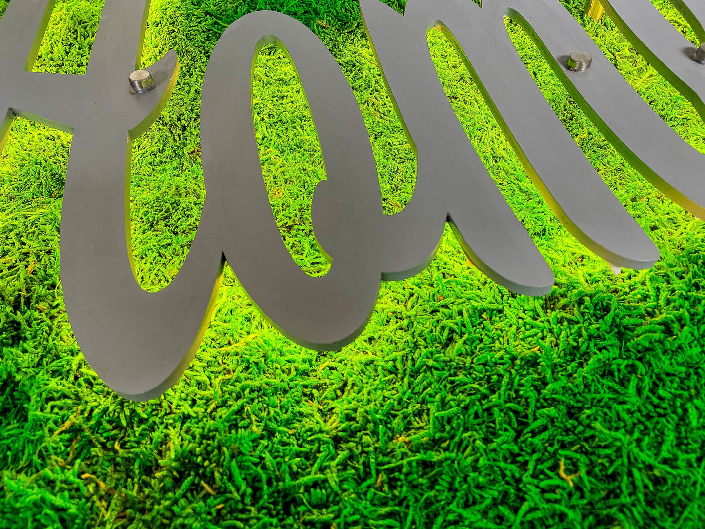 Custom Moss Wall with LED Logo – Welcome Sign Green Wall for Office, Reception, or Retail – Preserved Moss Branding Installation mossartbyrishstudio