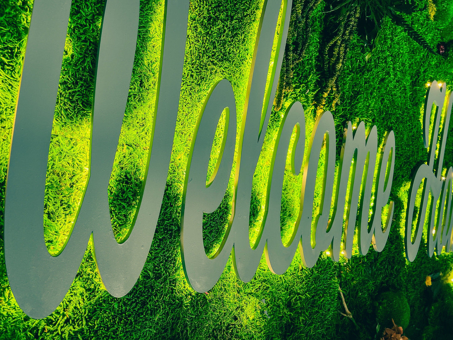 Custom Moss Wall with LED Logo – Welcome Sign Green Wall for Office, Reception, or Retail – Preserved Moss Branding Installation mossartbyrishstudio
