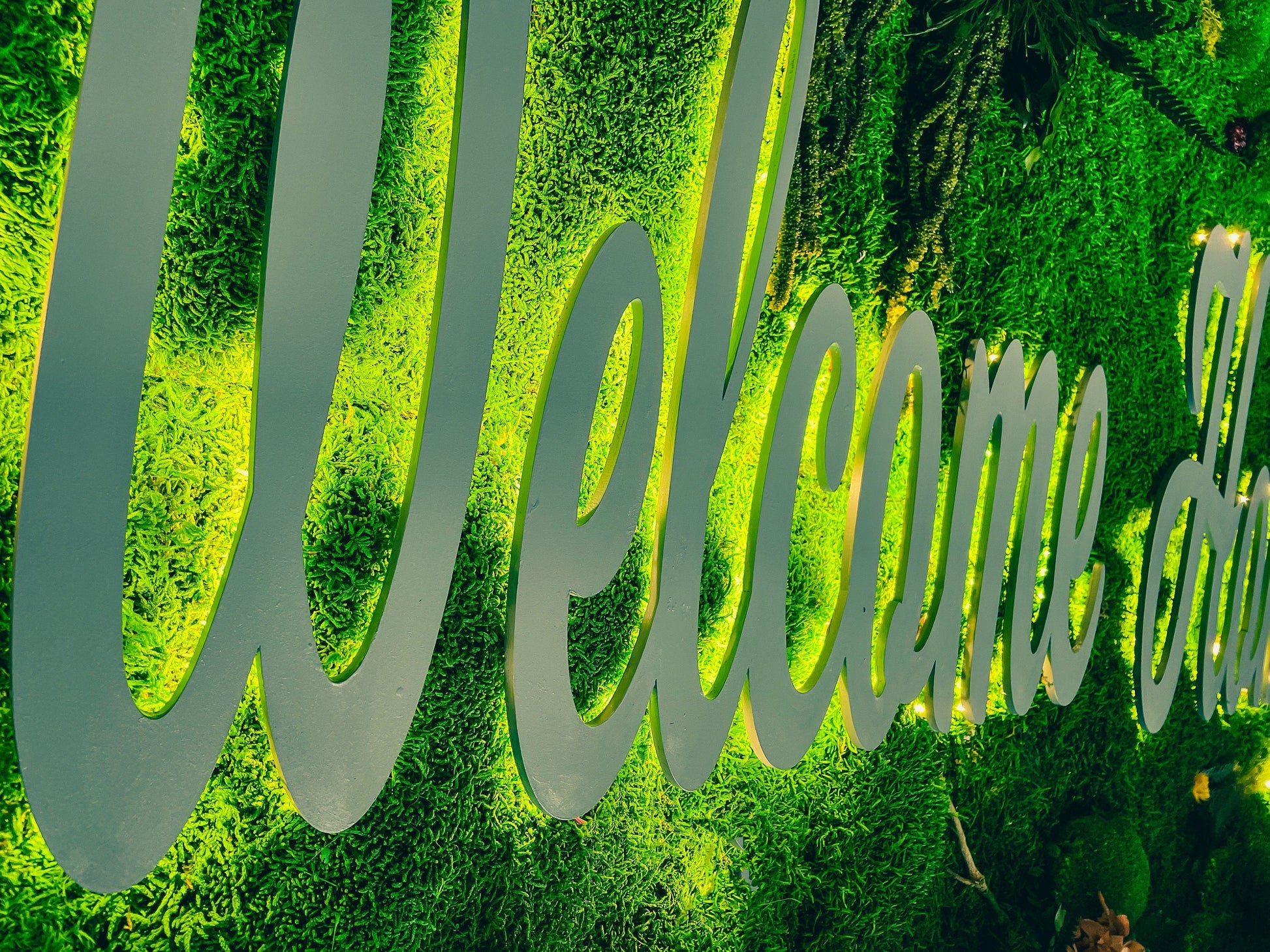 Custom Moss Wall with LED Logo – Welcome Sign Green Wall for Office, Reception, or Retail – Preserved Moss Branding Installation mossartbyrishstudio