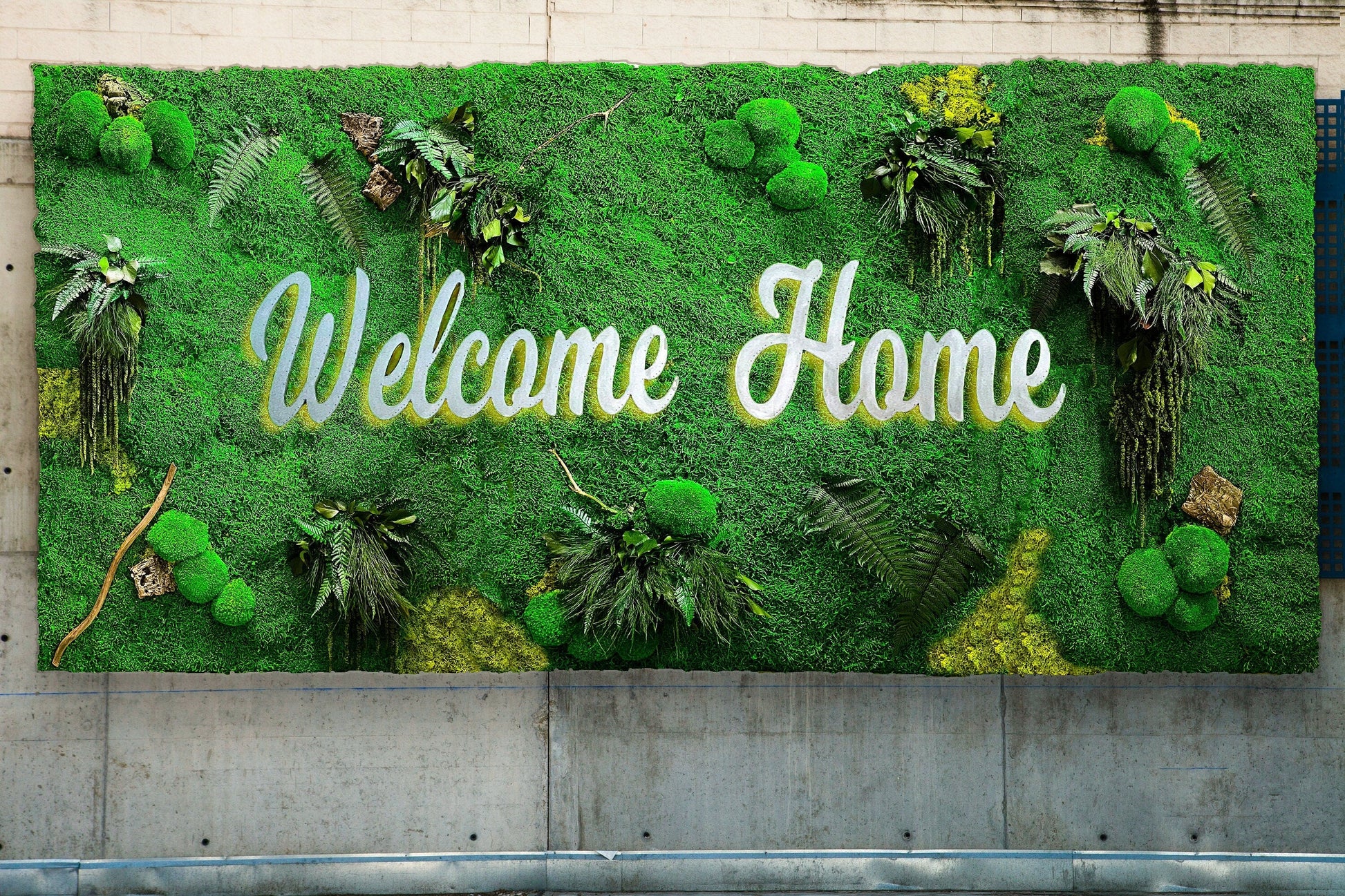 Custom Moss Wall with LED Logo – Welcome Sign Green Wall for Office, Reception, or Retail – Preserved Moss Branding Installation mossartbyrishstudio