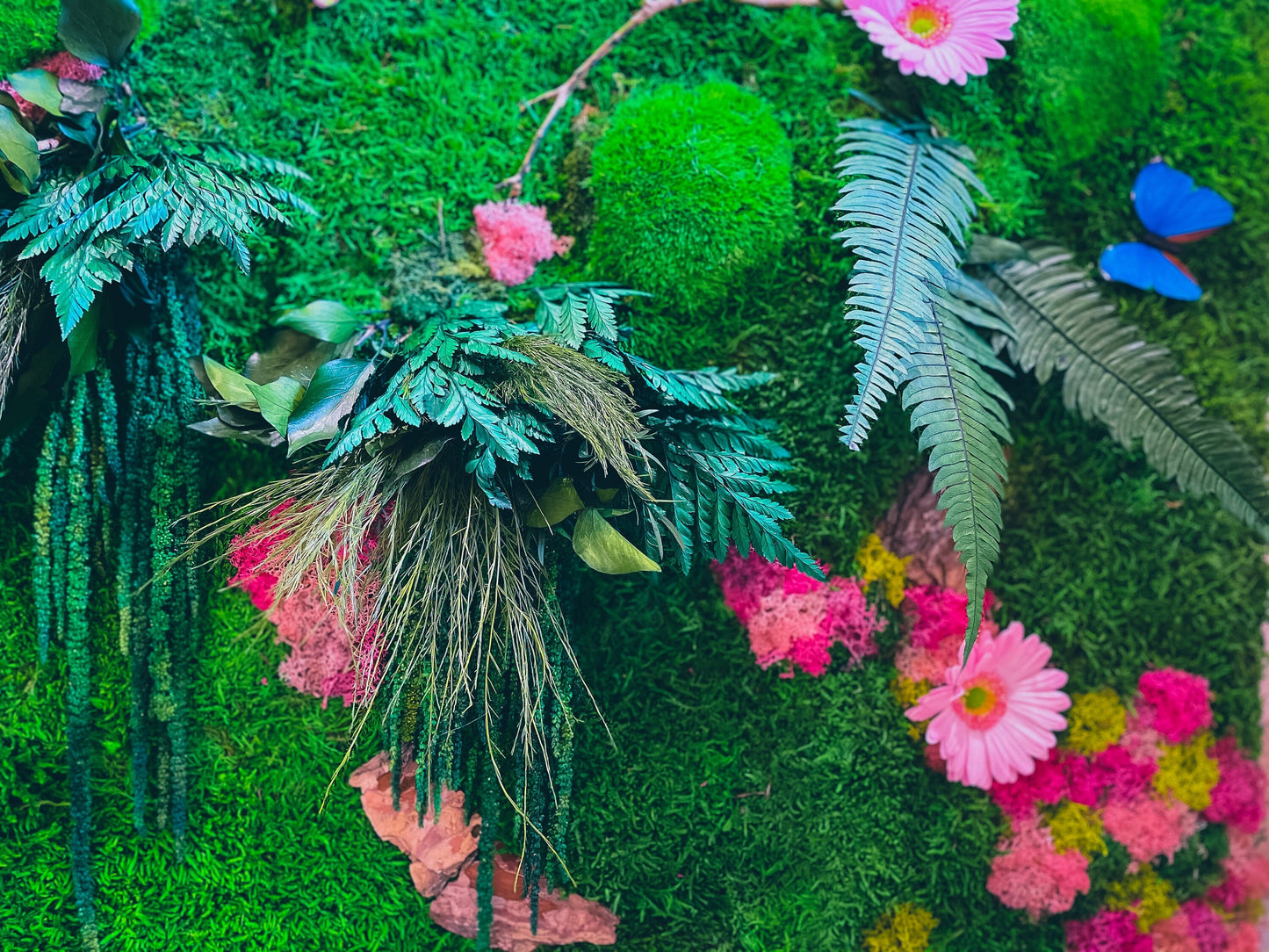 Preserved Moss Wall Art with Colorful Lichen & Flowers – Framed Biophilic Living Wall Panel – Handmade Botanical Decor for Modern Interiors mossartbyrishstudio