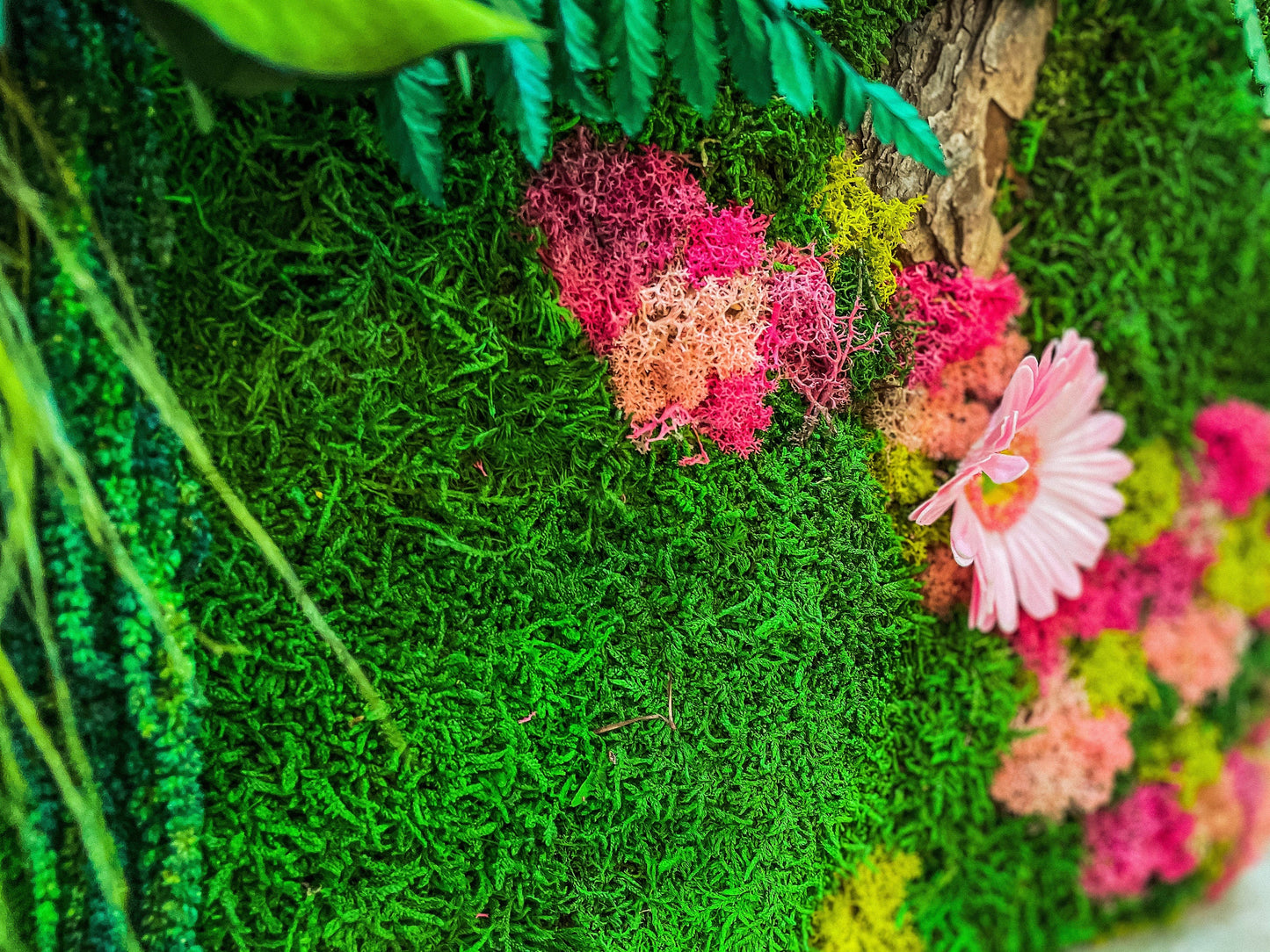 Preserved Moss Wall Art with Colorful Lichen & Flowers – Framed Biophilic Living Wall Panel – Handmade Botanical Decor for Modern Interiors mossartbyrishstudio