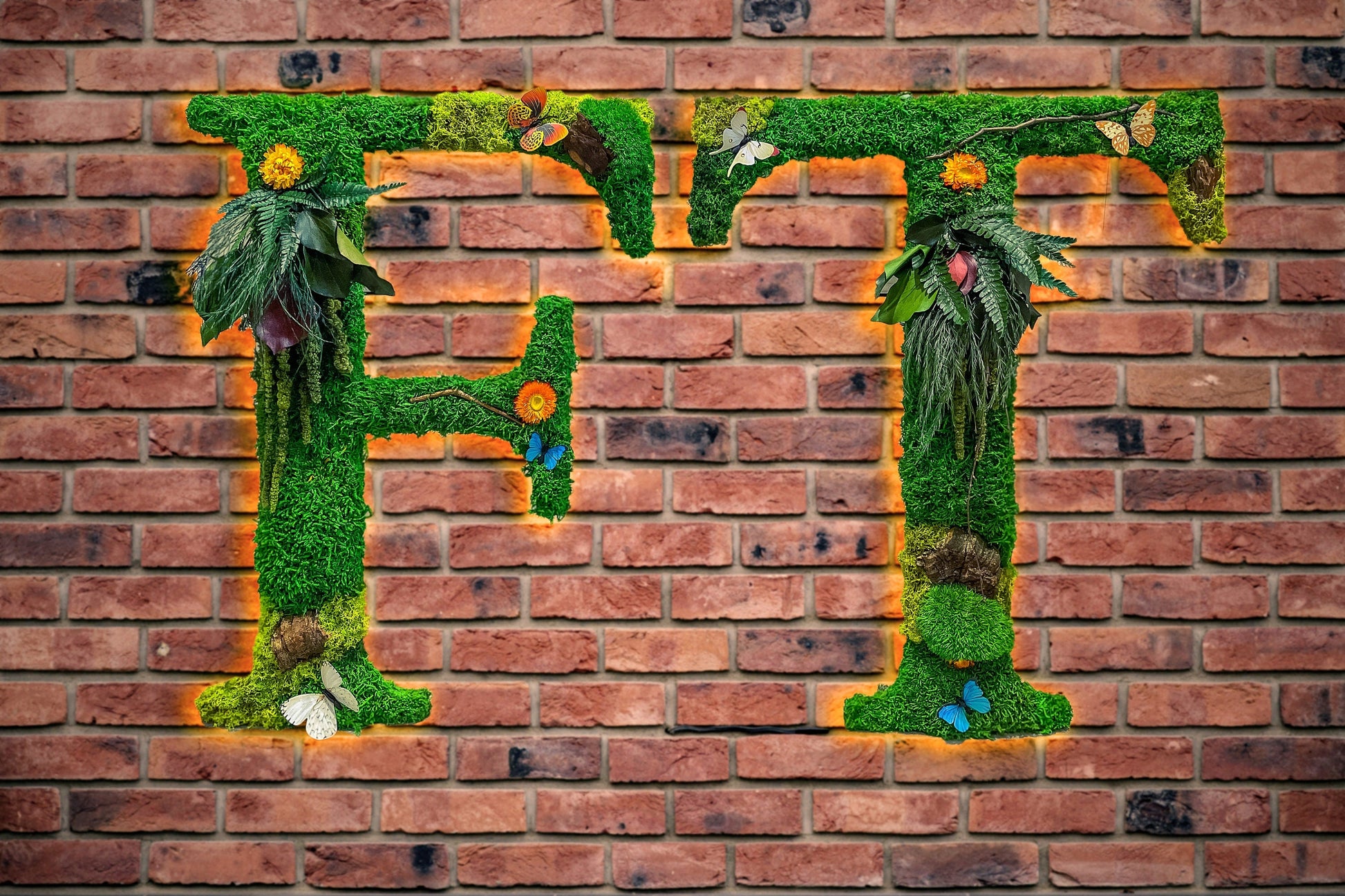 Custom Backlit Wall Letters | Moss Letters logo With Light | RishStudio mossartbyrishstudio