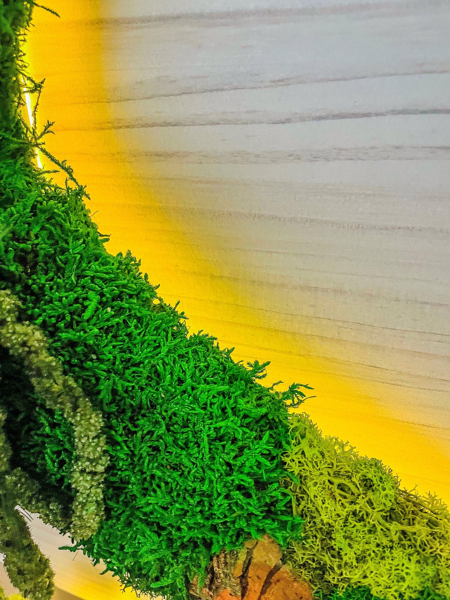 Custom Backlit Wall Letters | Moss Letters logo With Light | RishStudio mossartbyrishstudio