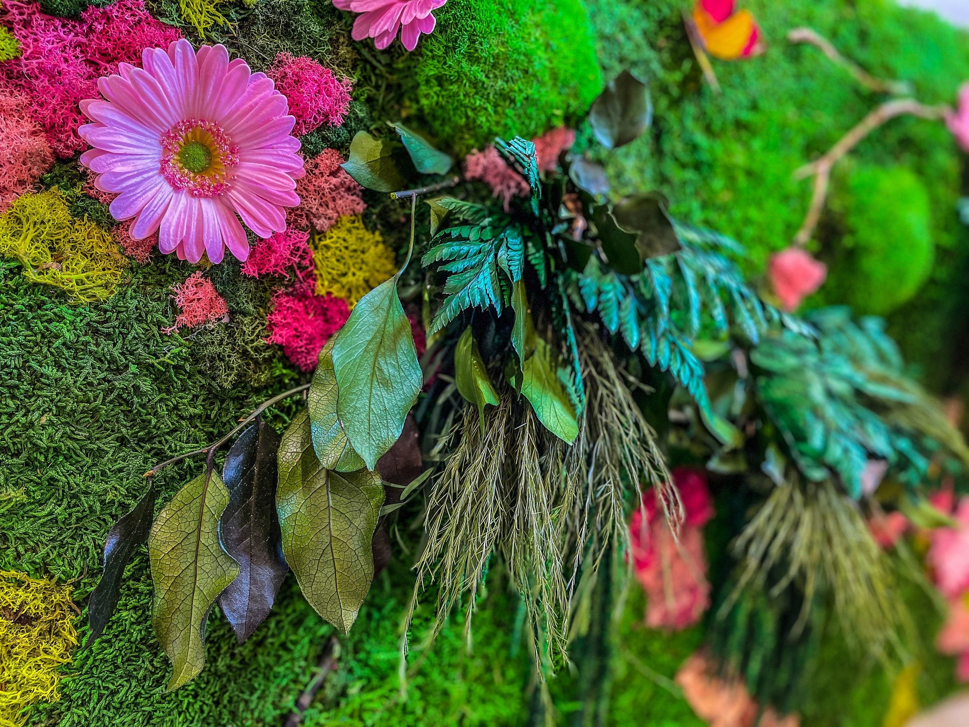 Preserved Moss Wall Art with Colorful Lichen & Flowers – Framed Biophilic Living Wall Panel – Handmade Botanical Decor for Modern Interiors mossartbyrishstudio