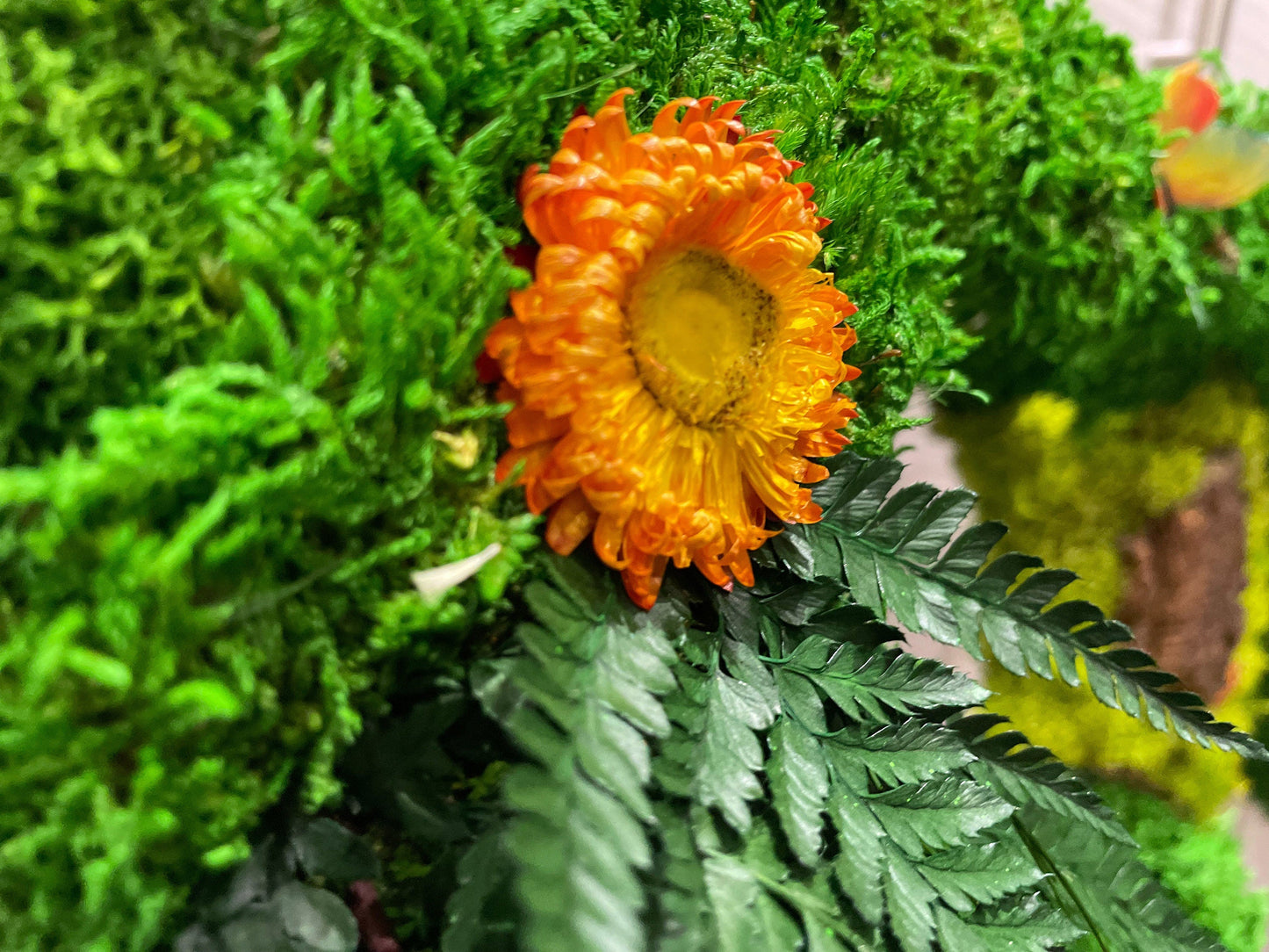 Custom Backlit Wall Letters | Moss Letters logo With Light | RishStudio mossartbyrishstudio