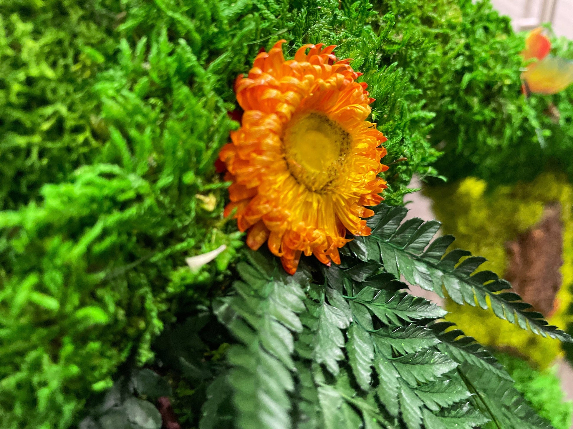 Custom Backlit Wall Letters | Moss Letters logo With Light | RishStudio mossartbyrishstudio