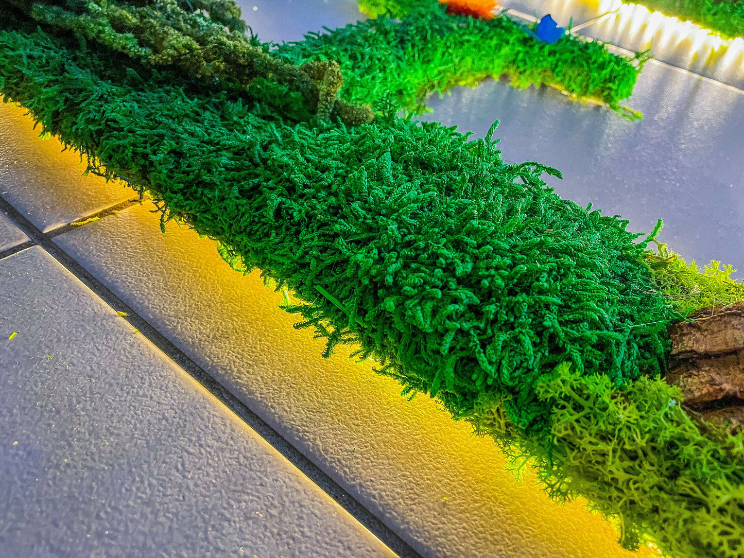 Custom Backlit Wall Letters | Moss Letters logo With Light | RishStudio mossartbyrishstudio