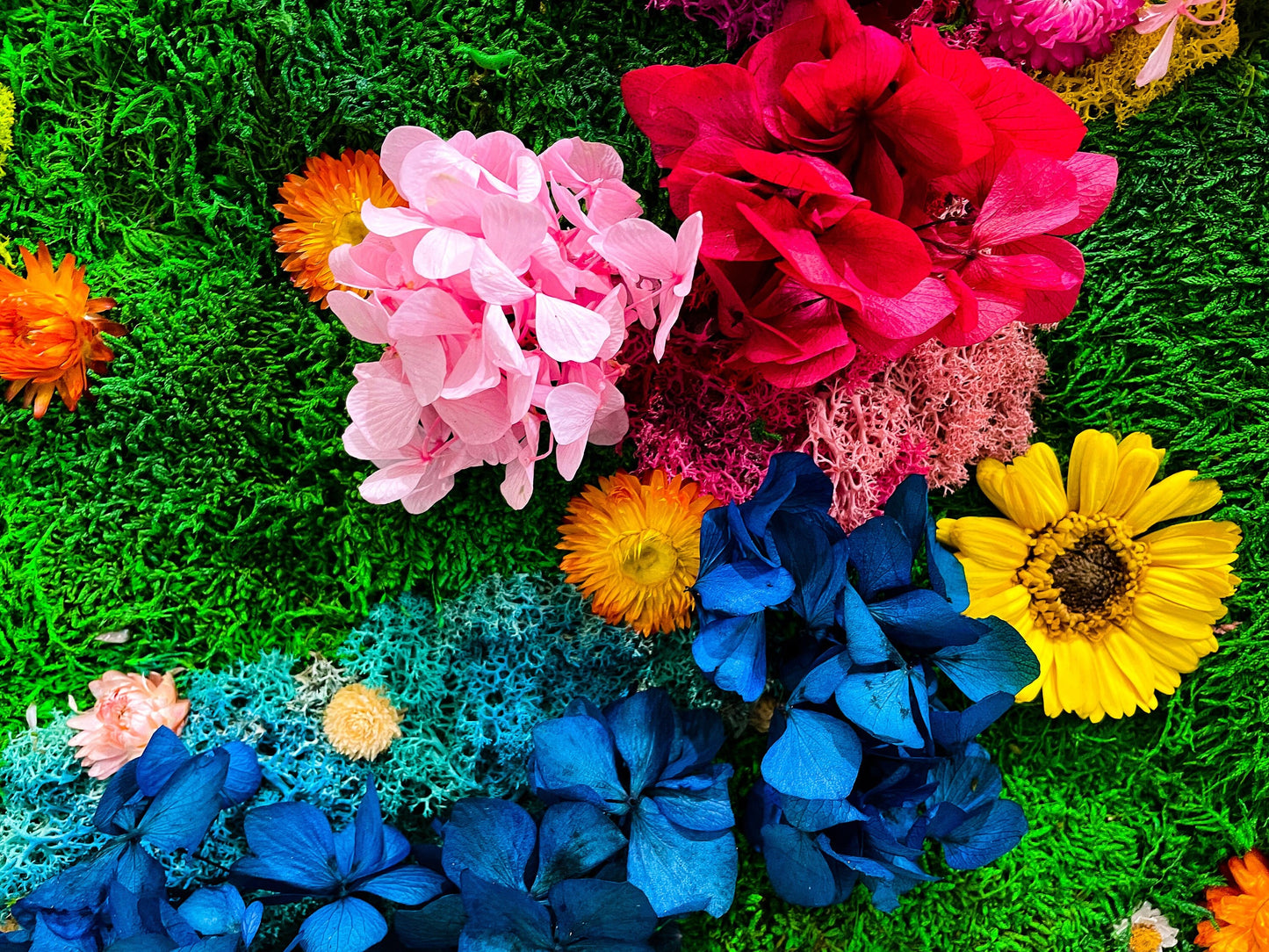 Preserved Moss wall with colorful lichen and dried flower mossartbyrishstudio