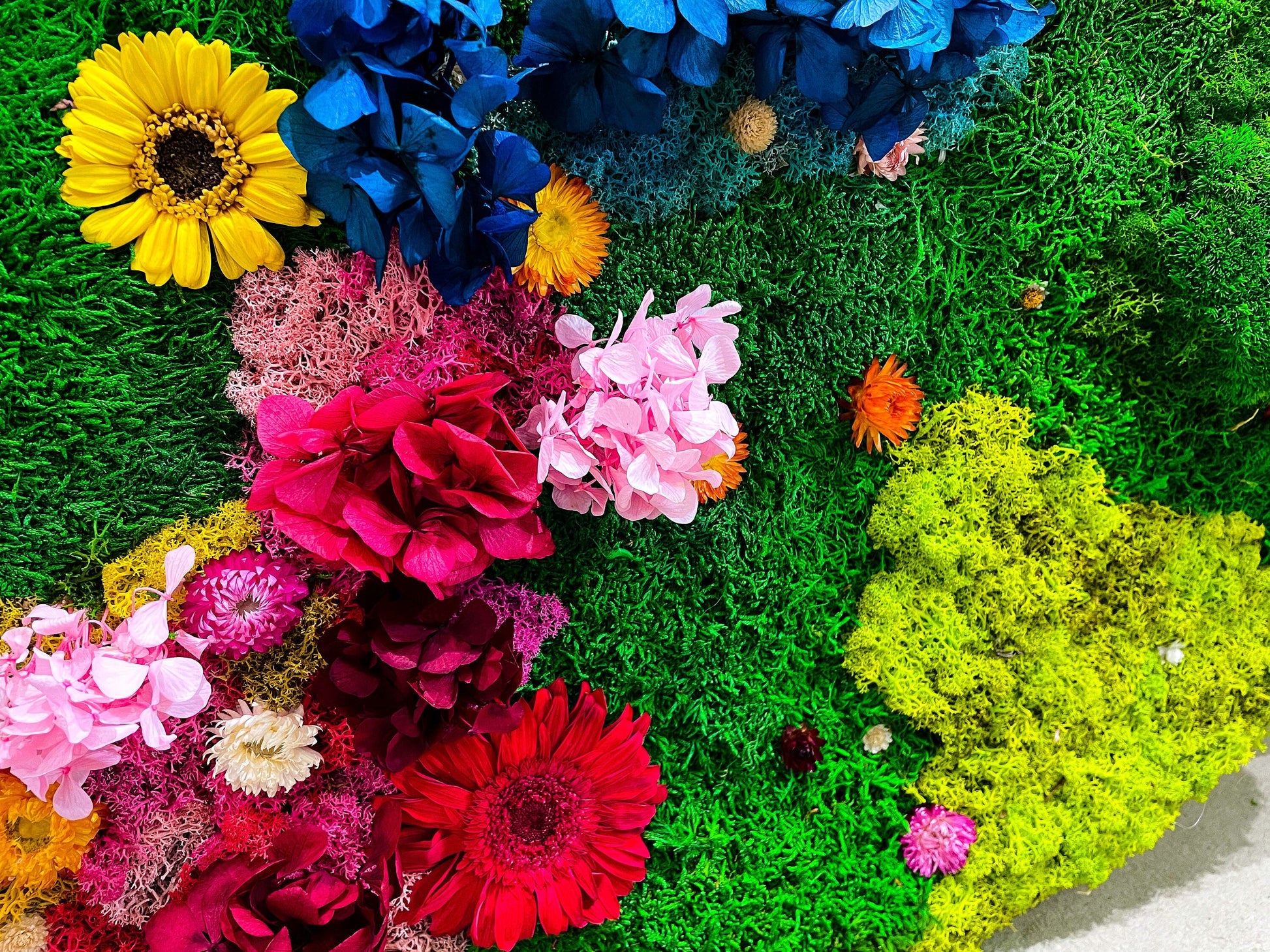 Preserved Moss wall with colorful lichen and dried flower mossartbyrishstudio