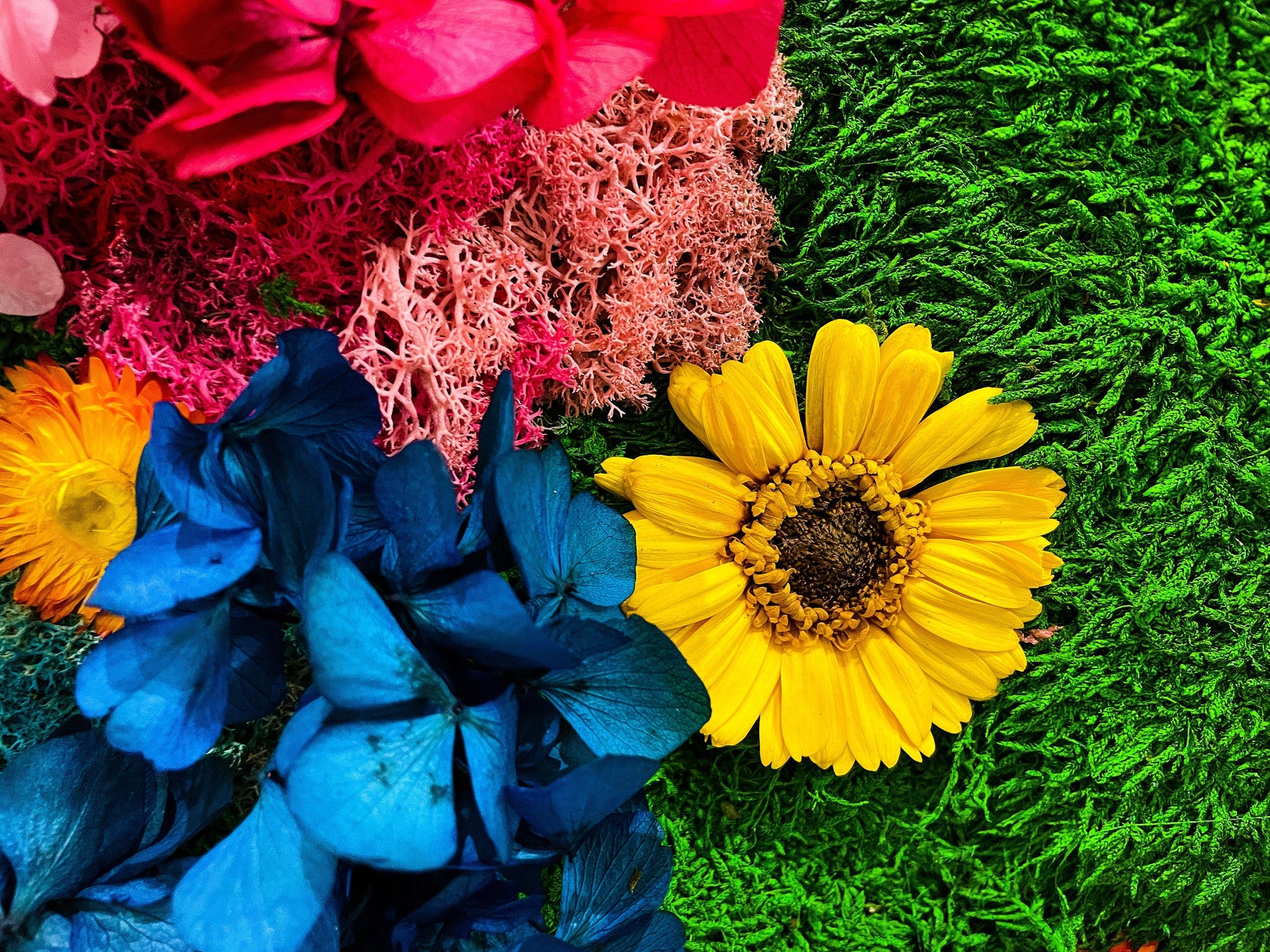 Preserved Moss wall with colorful lichen and dried flower mossartbyrishstudio