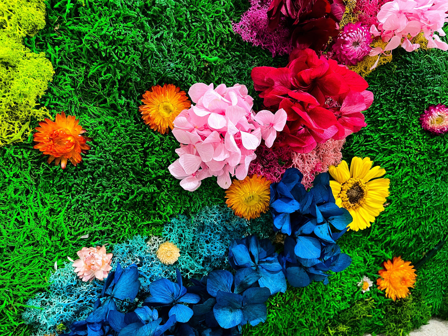 Preserved Moss wall with colorful lichen and dried flower mossartbyrishstudio