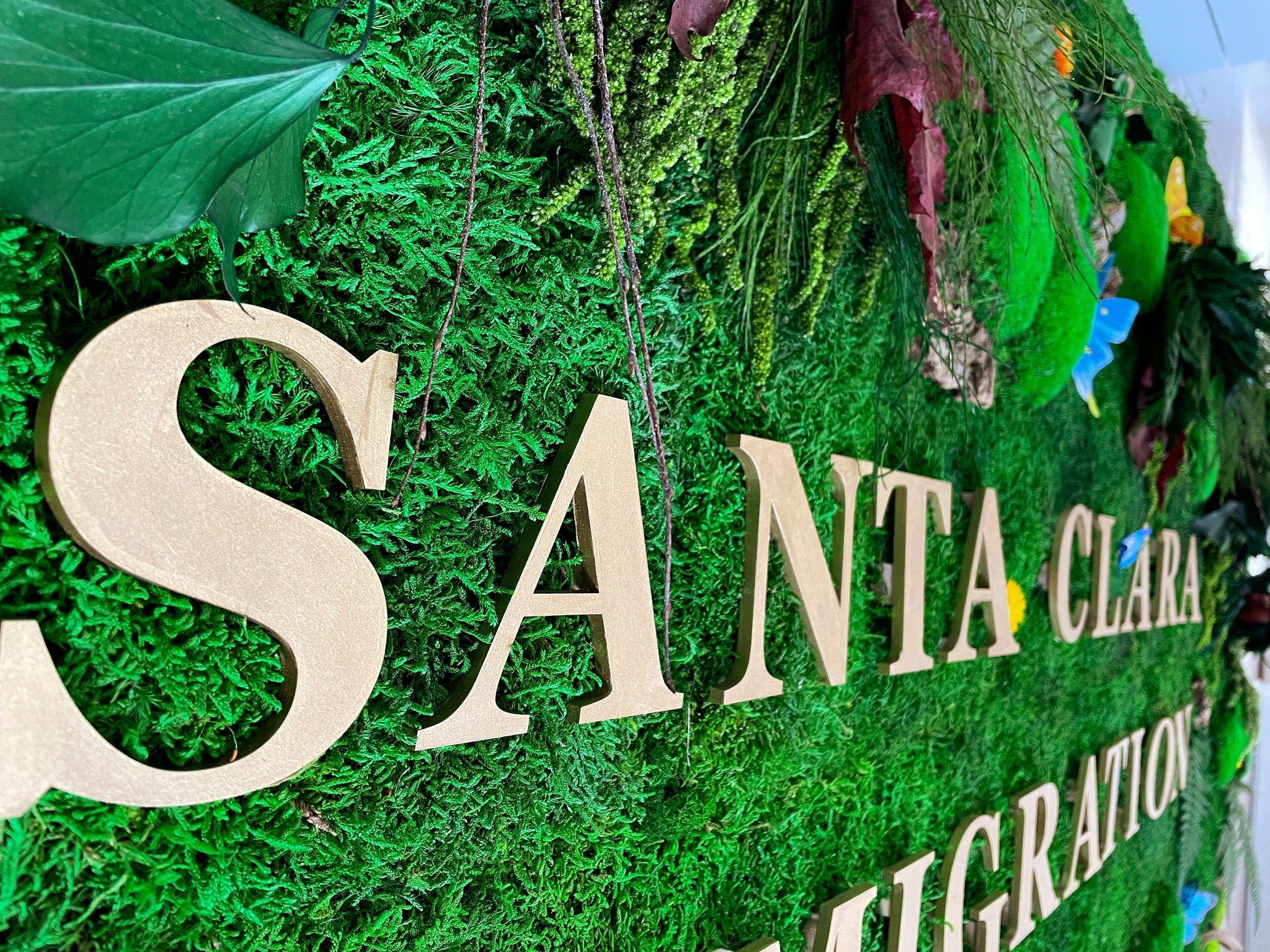 Custom Moss Wall with LED Logo – Welcome Sign Green Wall for Office, Reception, or Retail – Preserved Moss Branding Installation mossartbyrishstudio