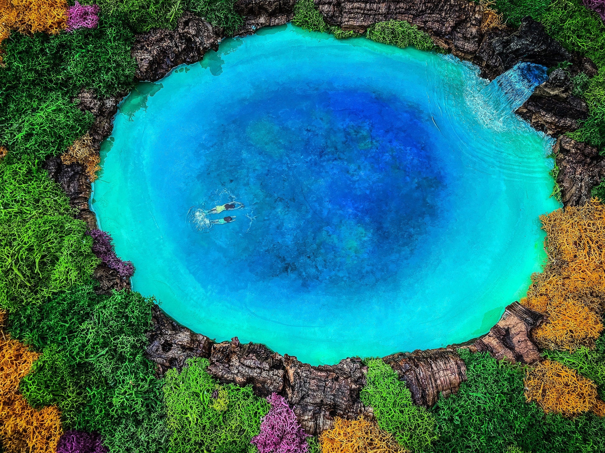 Large Moss Art, Preserved Moss Wall Art, Wooden Framed green Moss Wall Panel mossartbyrishstudio