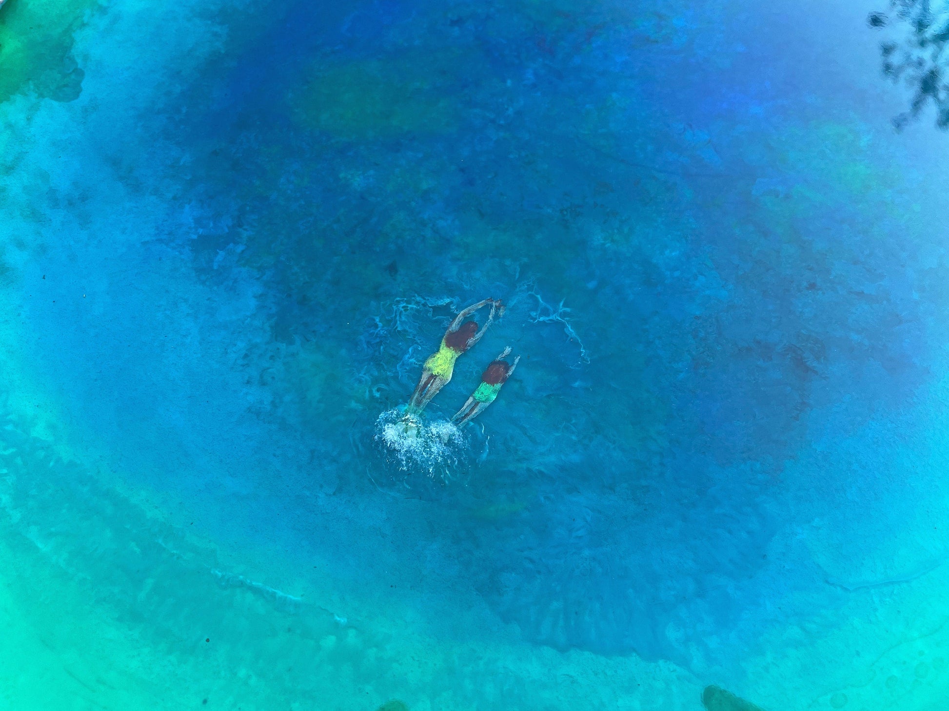 Ocean Wall Art | Seascape and Moss wall Art | RishStudio mossartbyrishstudio