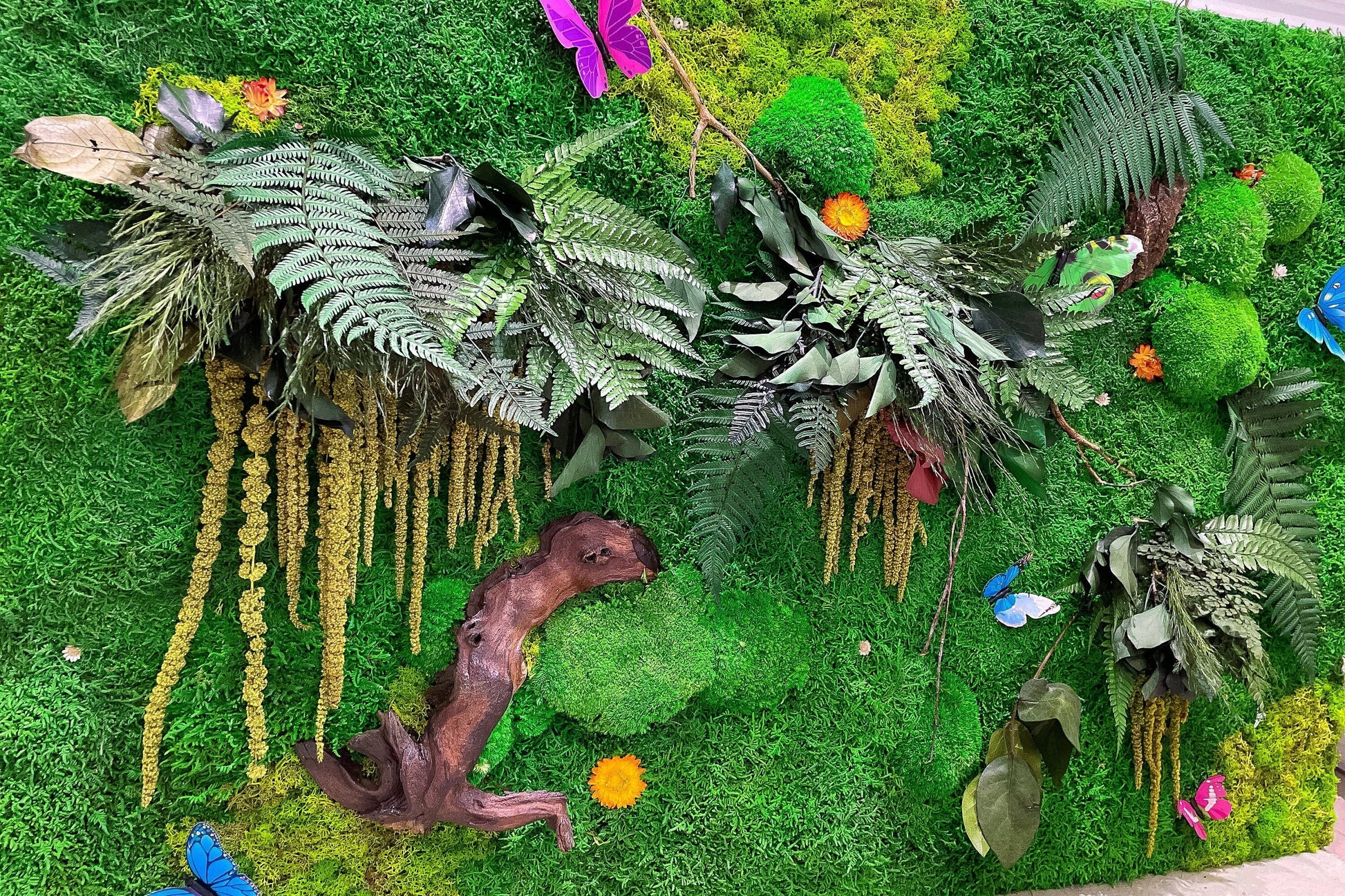 Preserved Moss Artwork with LED Lights | Botanical Moss Wall Art | RishStudio mossartbyrishstudio