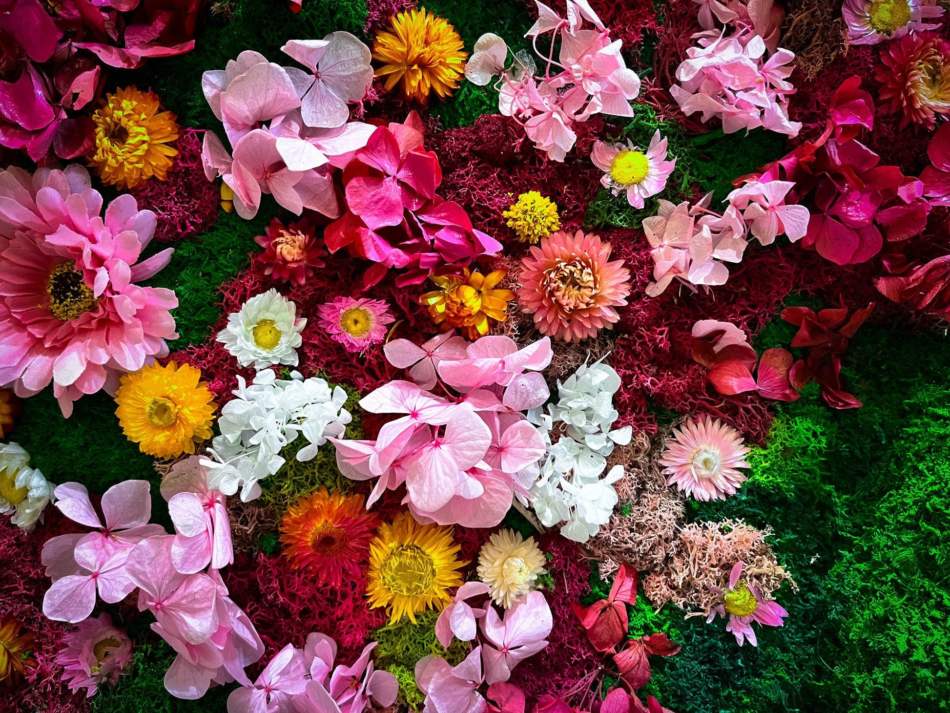 Preserved and dried flowers | Rainbow Moss wall art with flowers | RishStudio mossartbyrishstudio