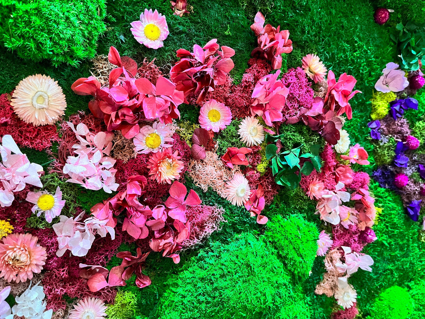 Preserved and dried flowers | Rainbow Moss wall art with flowers | RishStudio mossartbyrishstudio