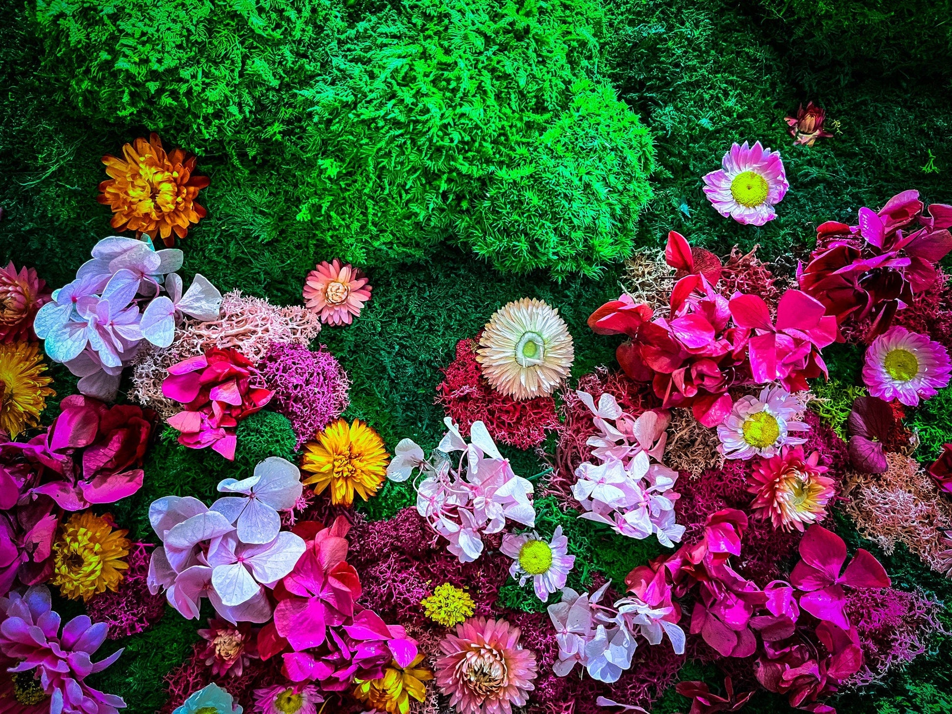 Preserved Moss Wall Art with Real Flowers – Vertical Garden-Inspired Living Wall – Biophilic Home Decor – Handmade Botanical Wall Panel (Framed) mossartbyrishstudio